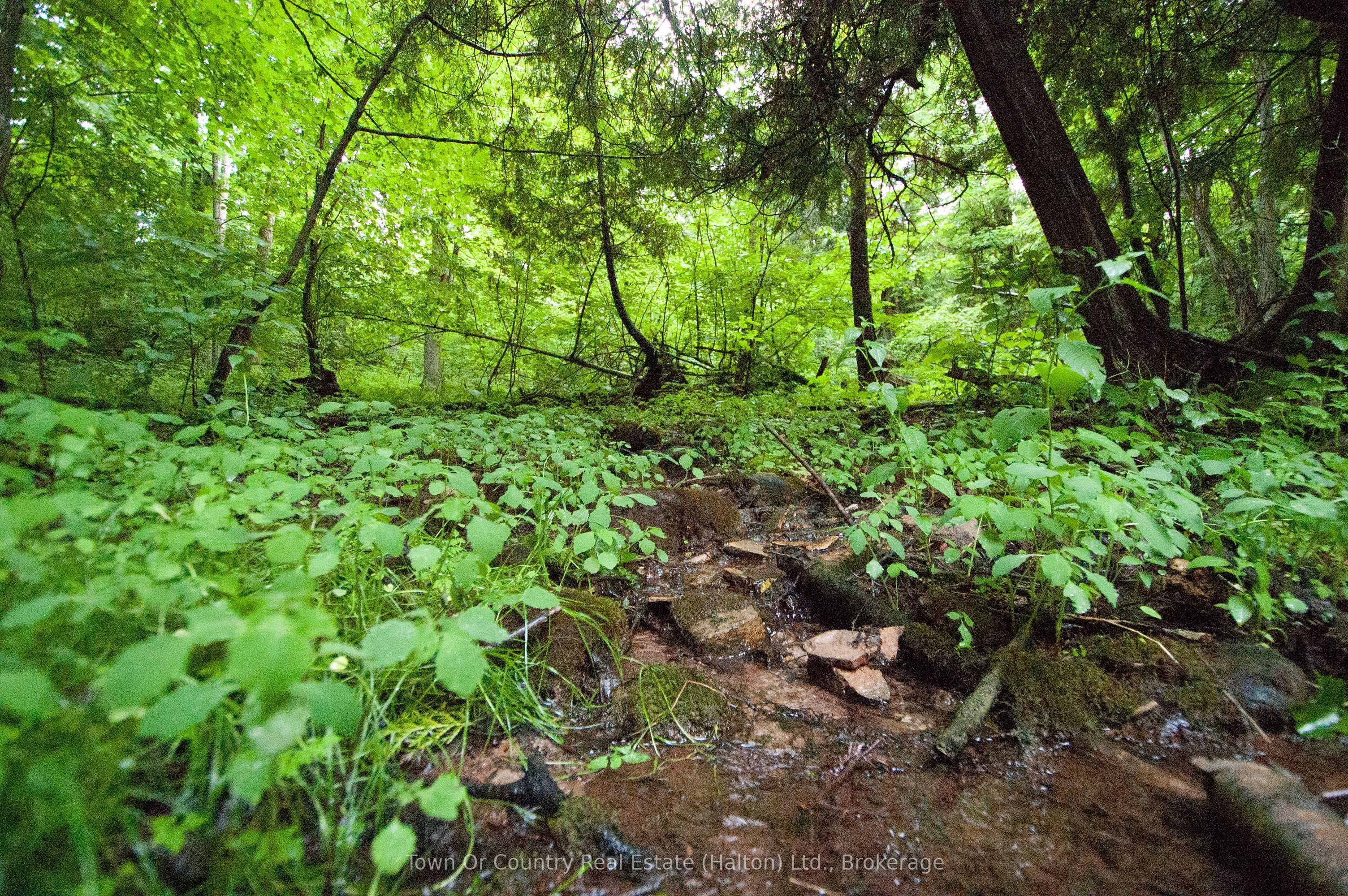 0 Fourth Line Property Photo 15