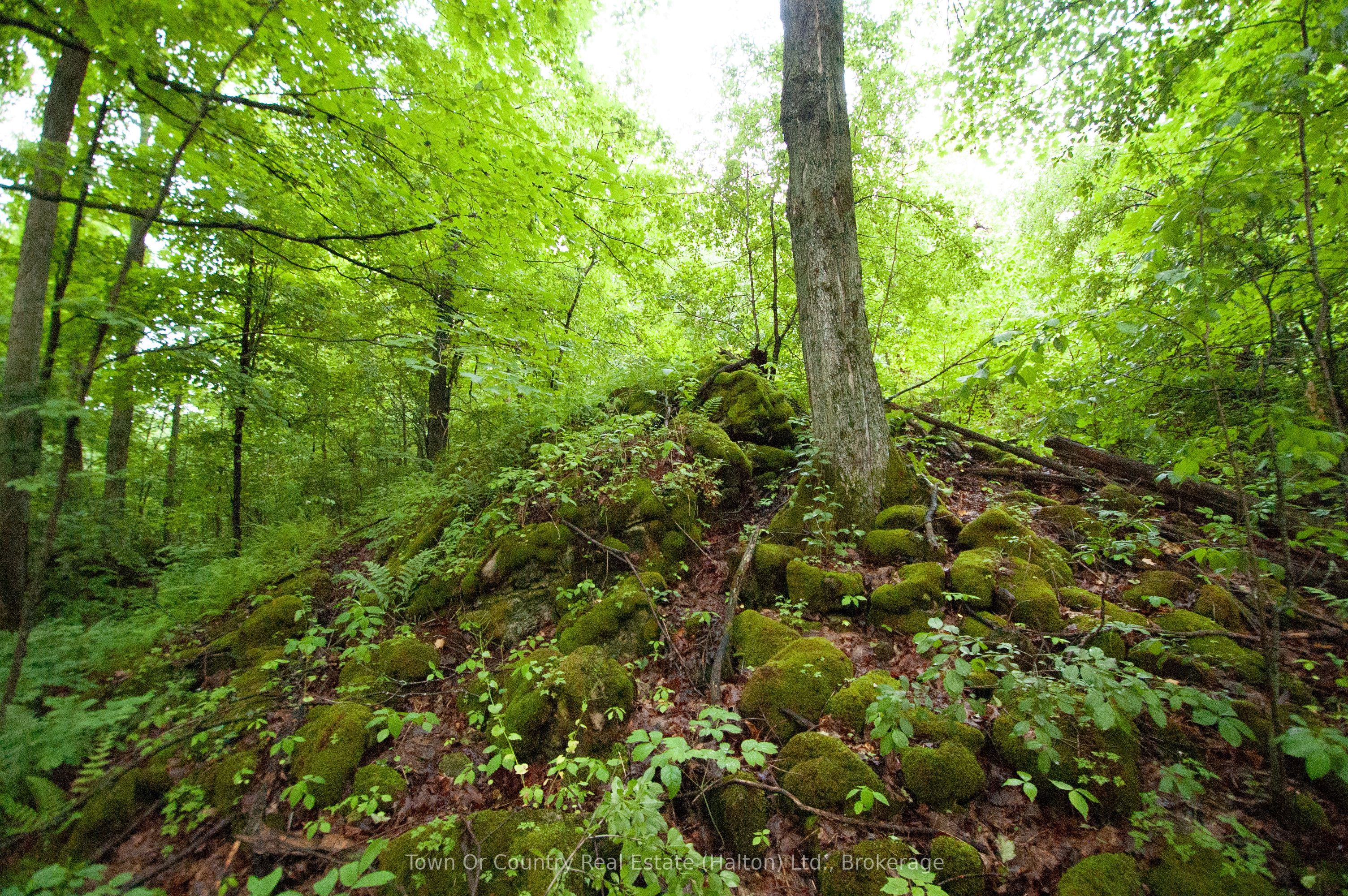 0 Fourth Line Property Photo 16