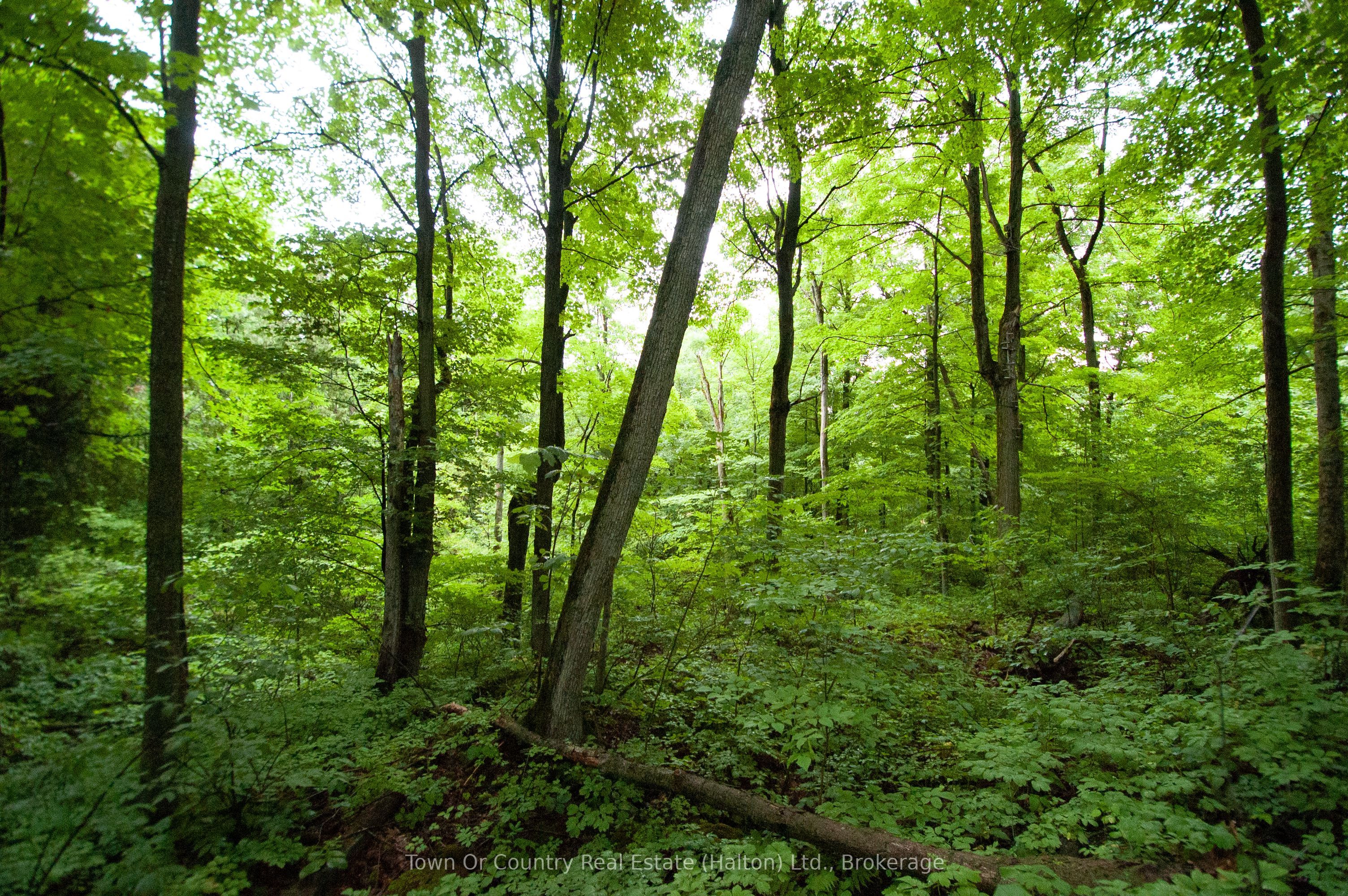 0 Fourth Line Property Photo 17