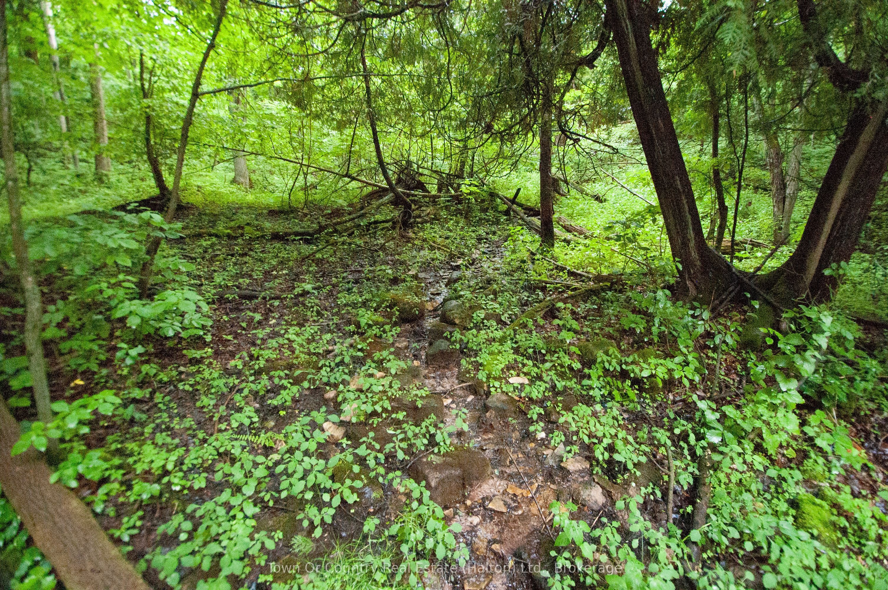 0 Fourth Line Property Photo 18