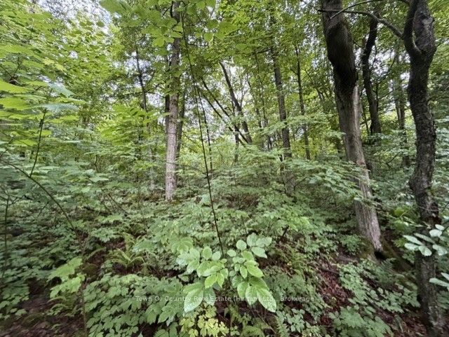 0 Fourth Line Property Photo 20