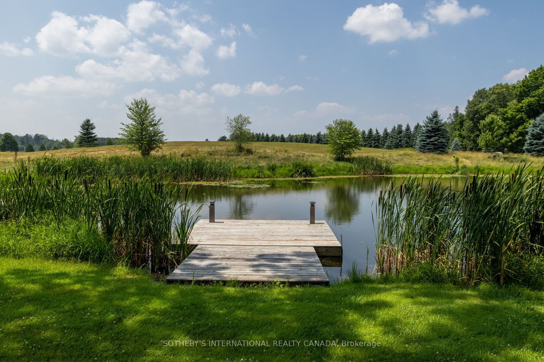 15366 The Gore Road Property Photo 16