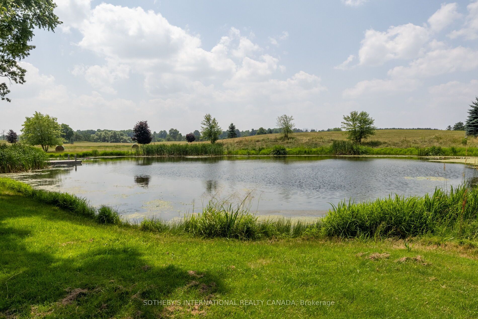 15366 The Gore Road Property Photo 17