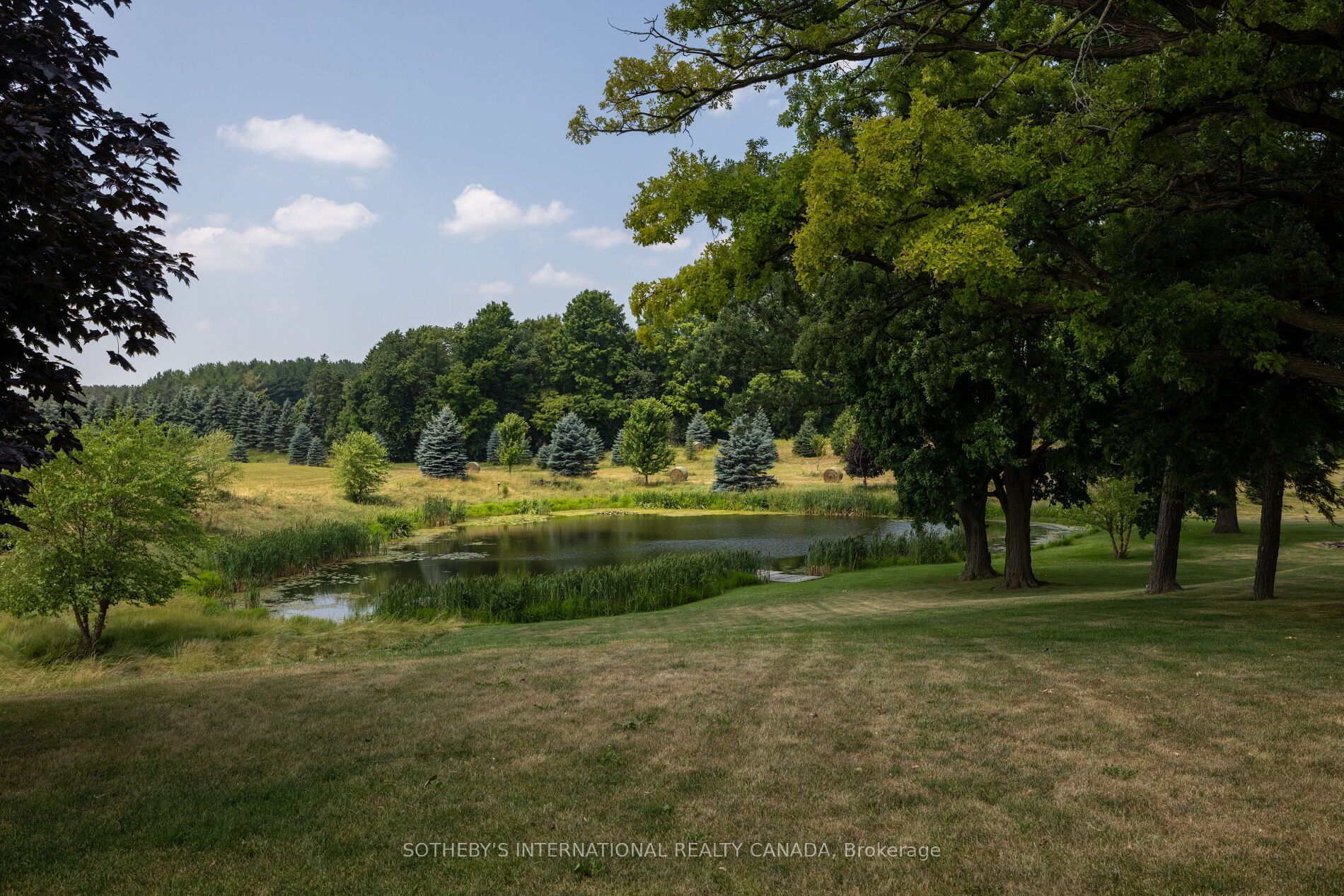 15366 The Gore Road Property Photo 32