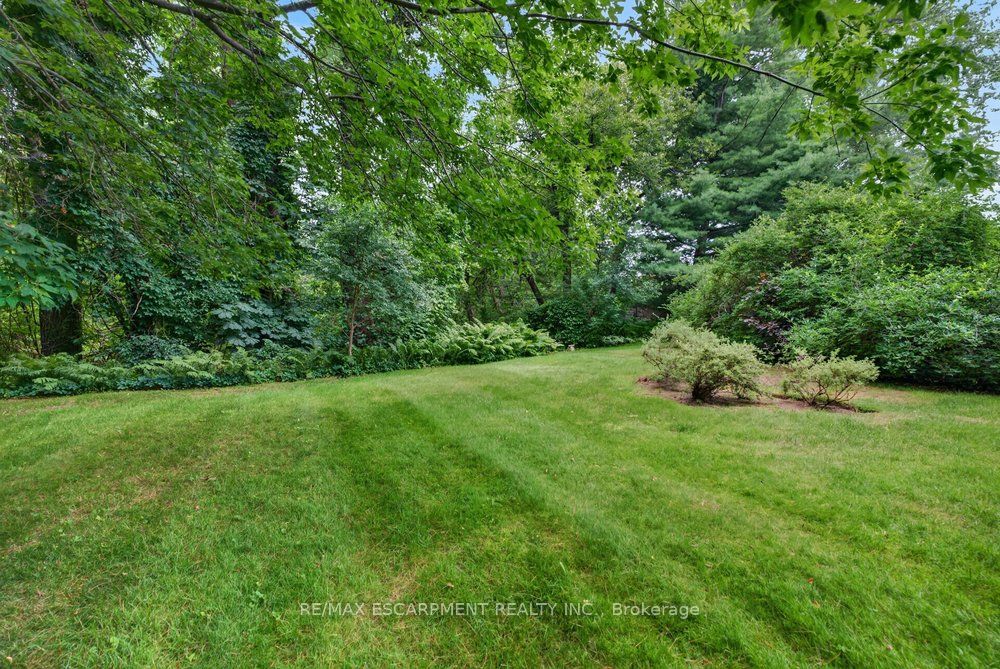 230 Morrison Road Property Photo 3