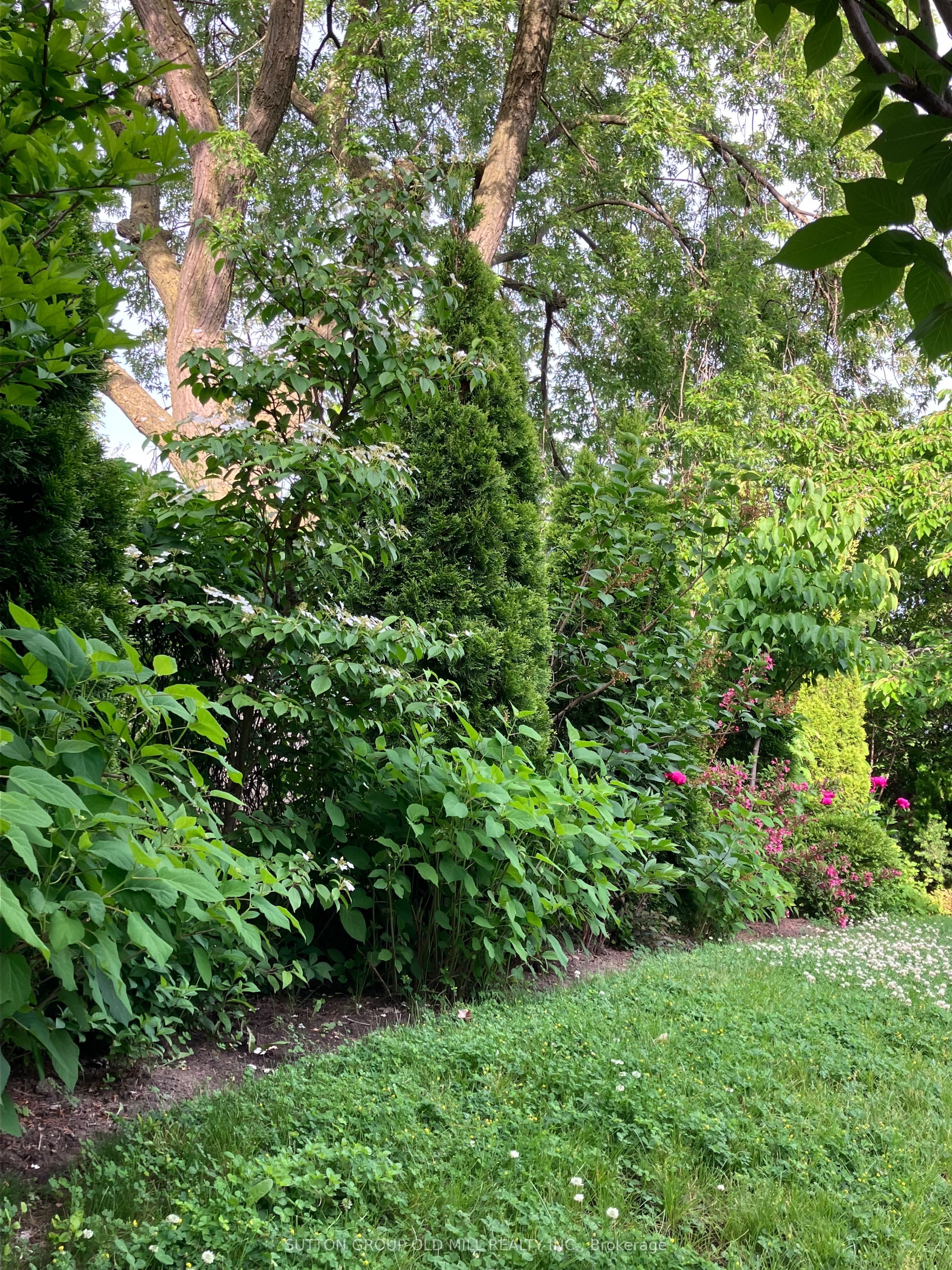 2811 Constable Road Property Photo 34