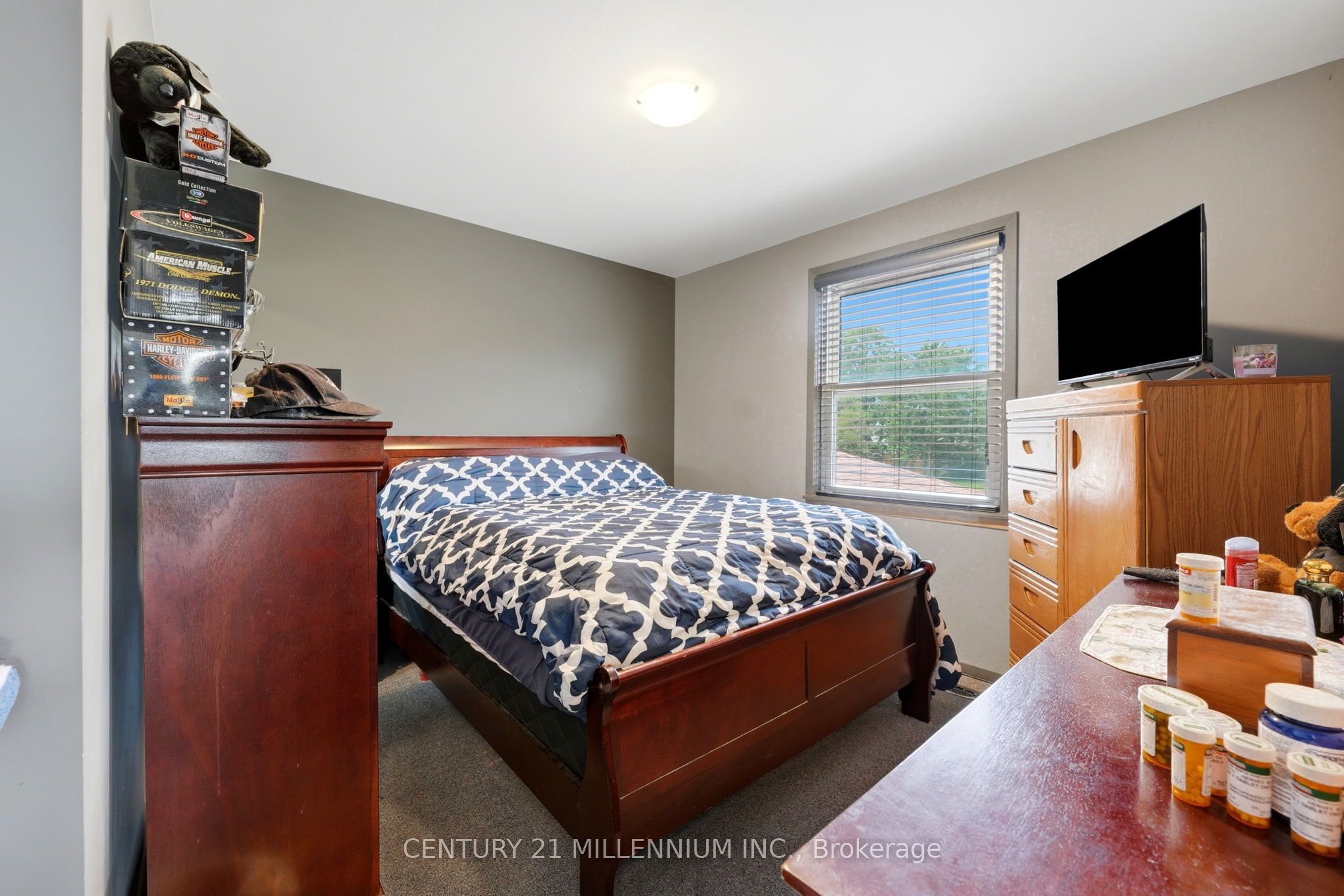683 Balmoral Drive Property Photo 23