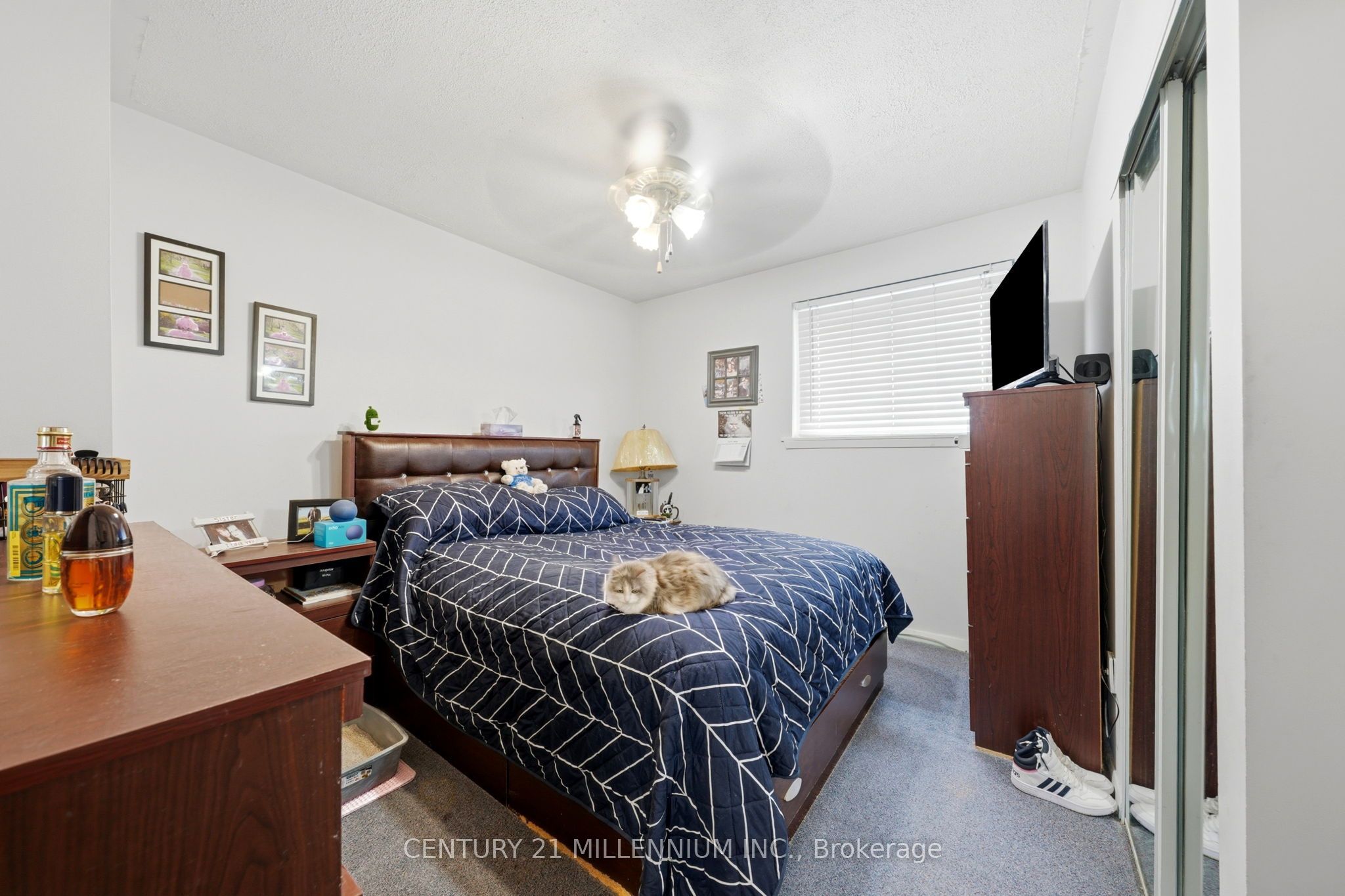 683 Balmoral Drive Property Photo 30