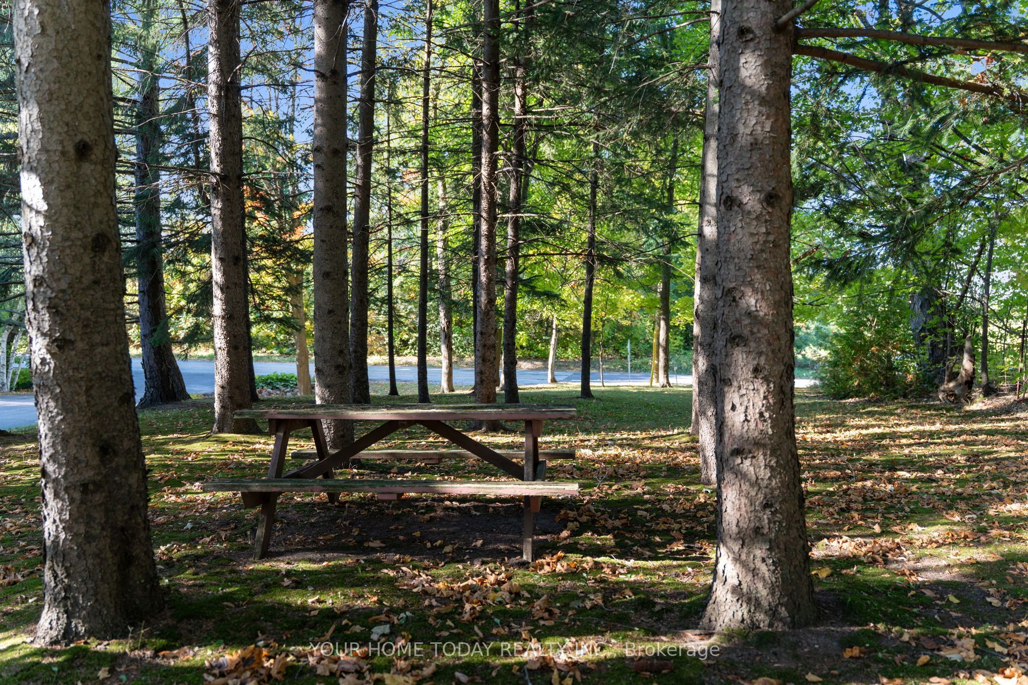 12609 Fifth Line Property Photo 29
