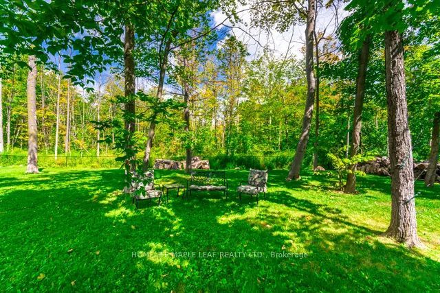 9229 8th Line Property Photo 46