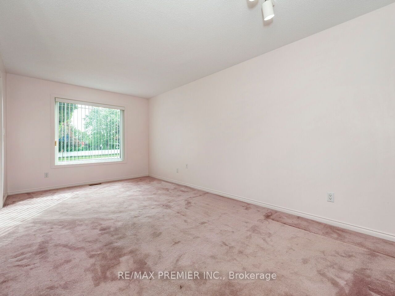 28 Emeline Street Property Photo 19