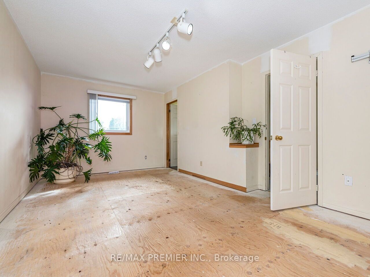 28 Emeline Street Property Photo 25