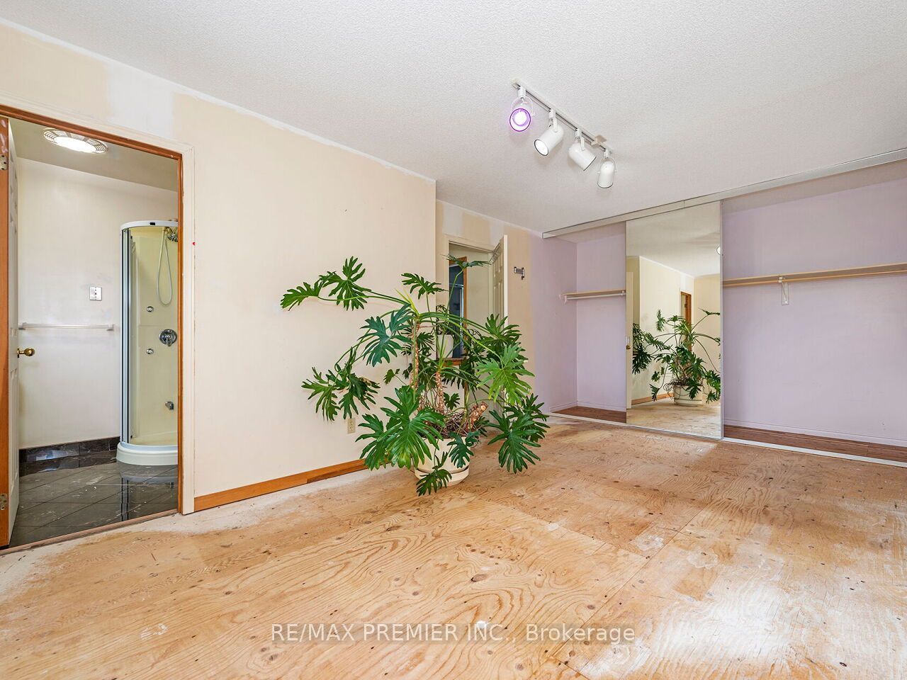 28 Emeline Street Property Photo 26