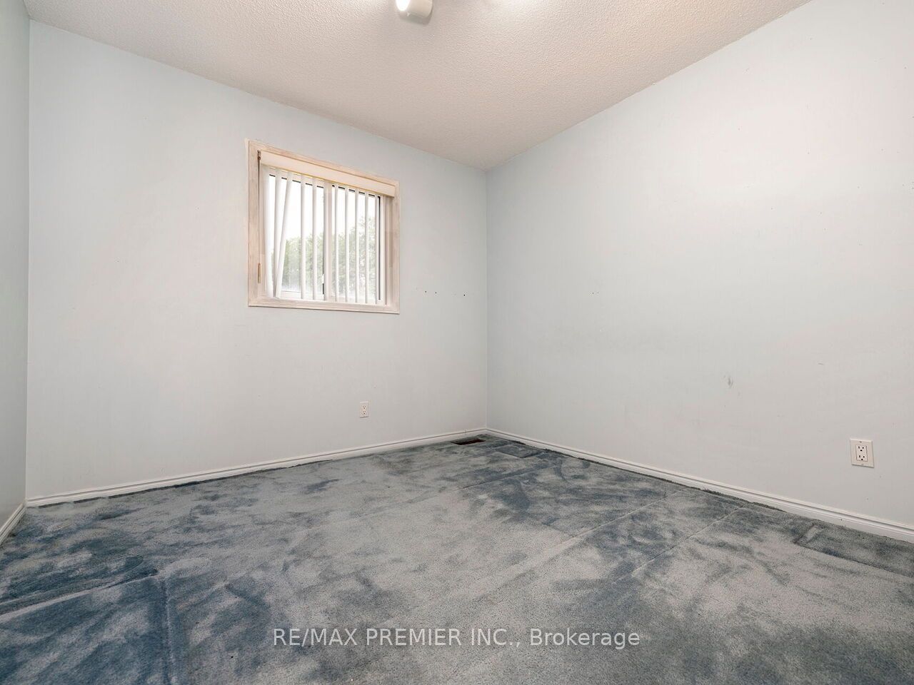 28 Emeline Street Property Photo 29