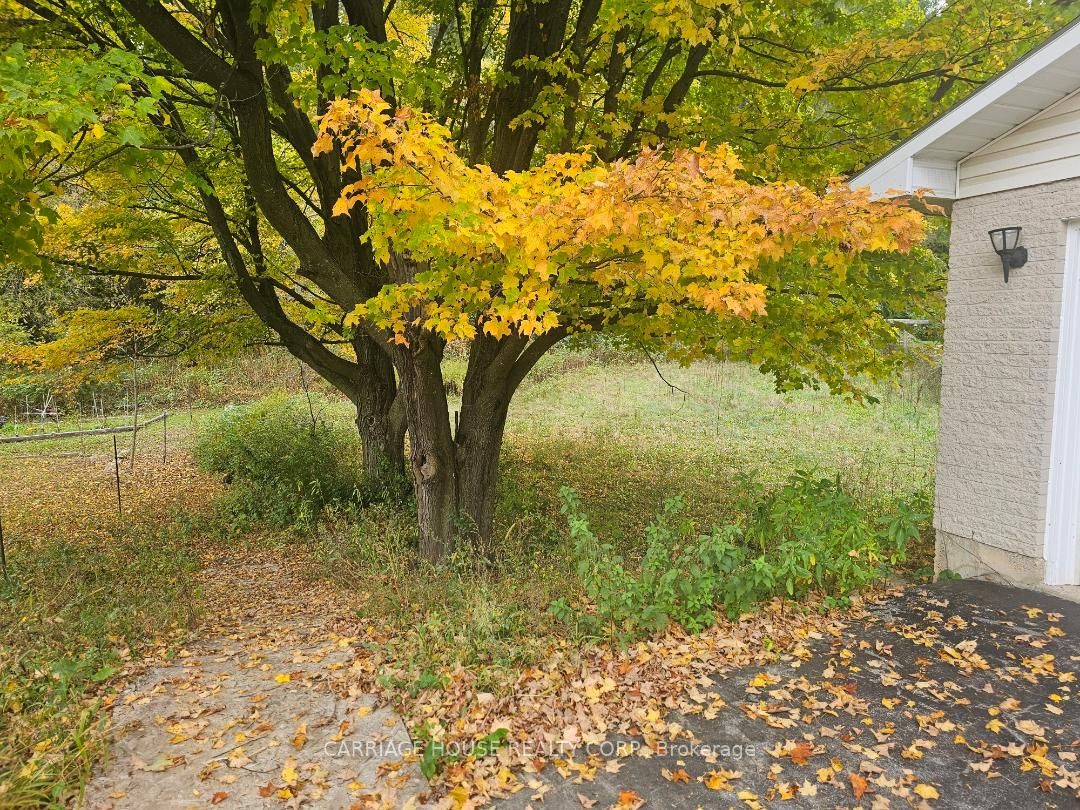 Part 1 Property Photo 5