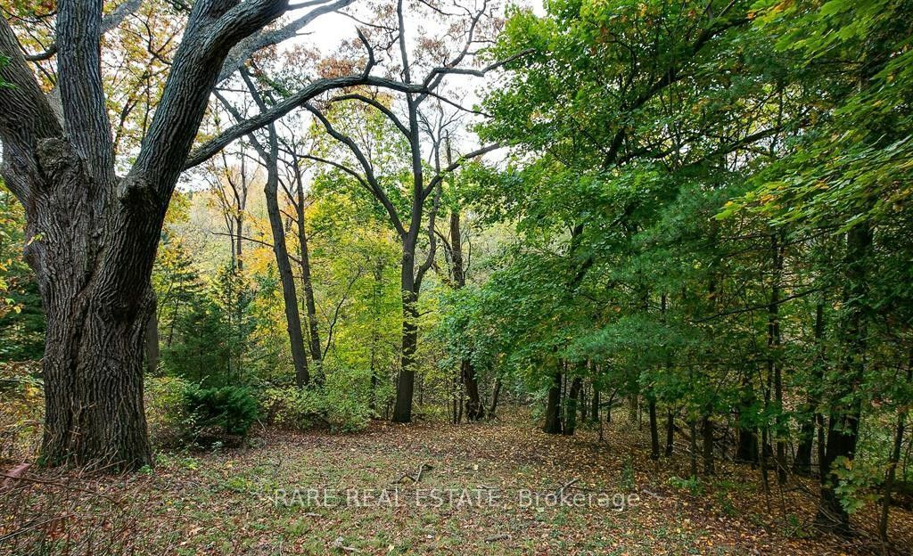 224 Ellis Avenue Property Photo 24
