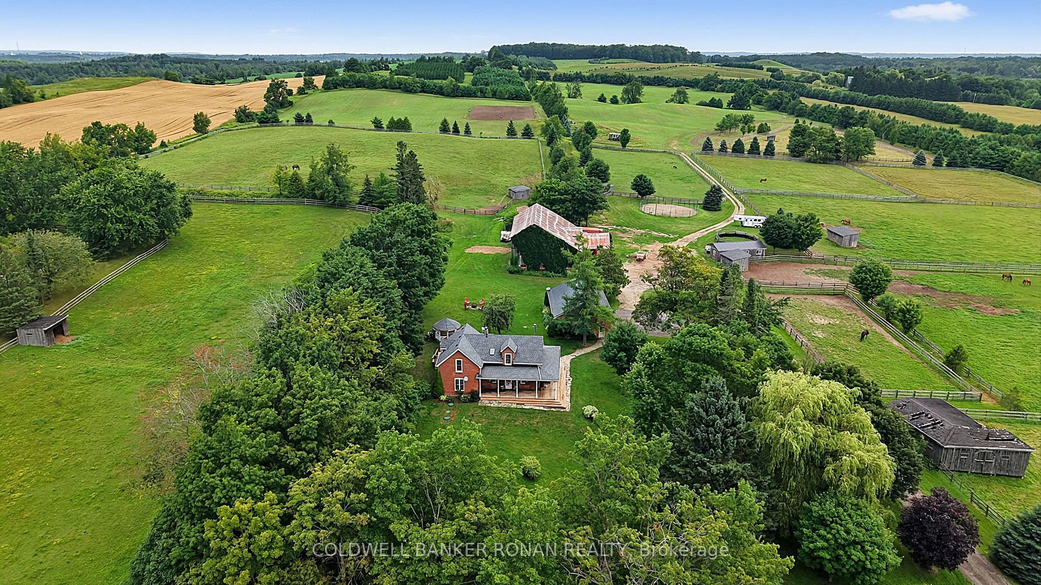 20855 Shaws Creek Road Property Photo 3