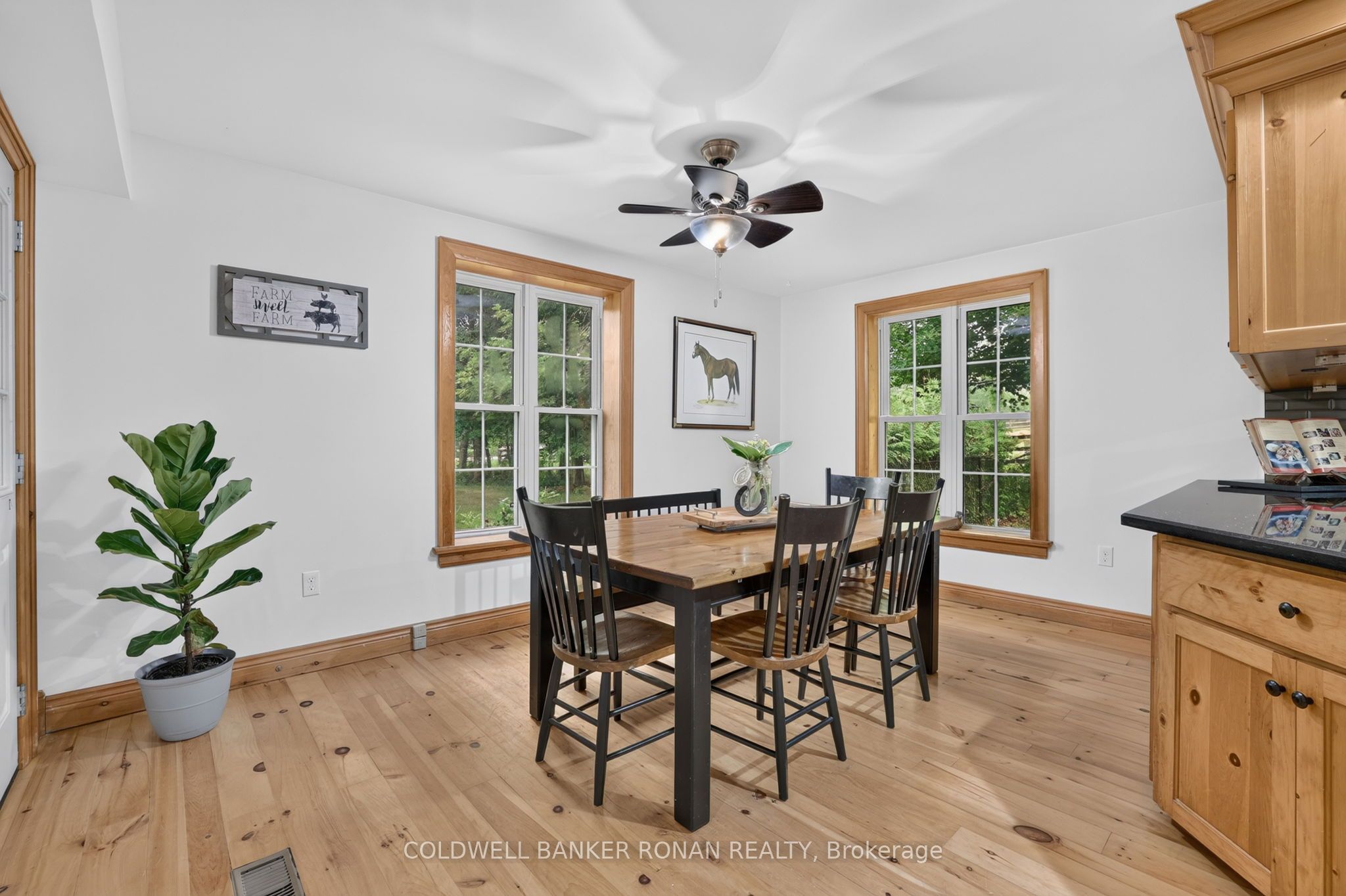 20855 Shaws Creek Road Property Photo 17