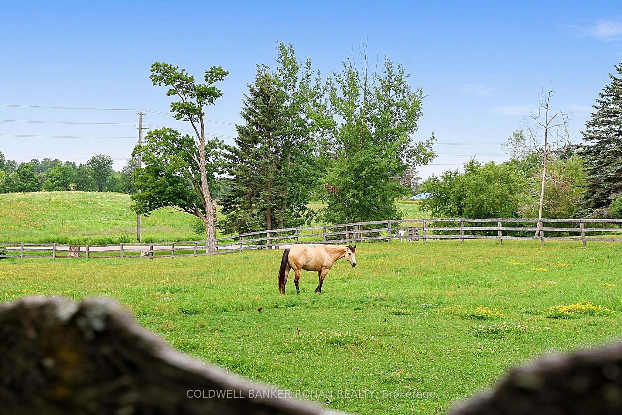 20855 Shaws Creek Road Property Photo 30