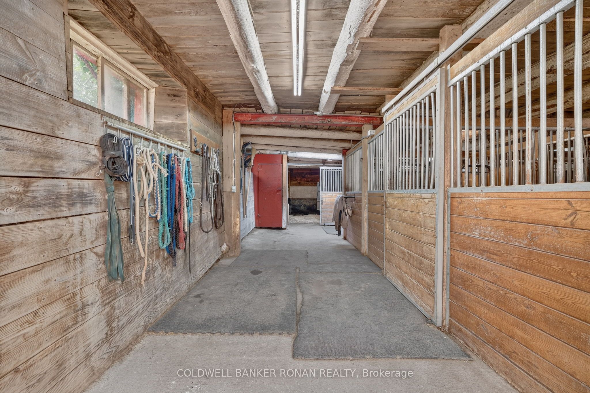 20855 Shaws Creek Road Property Photo 31