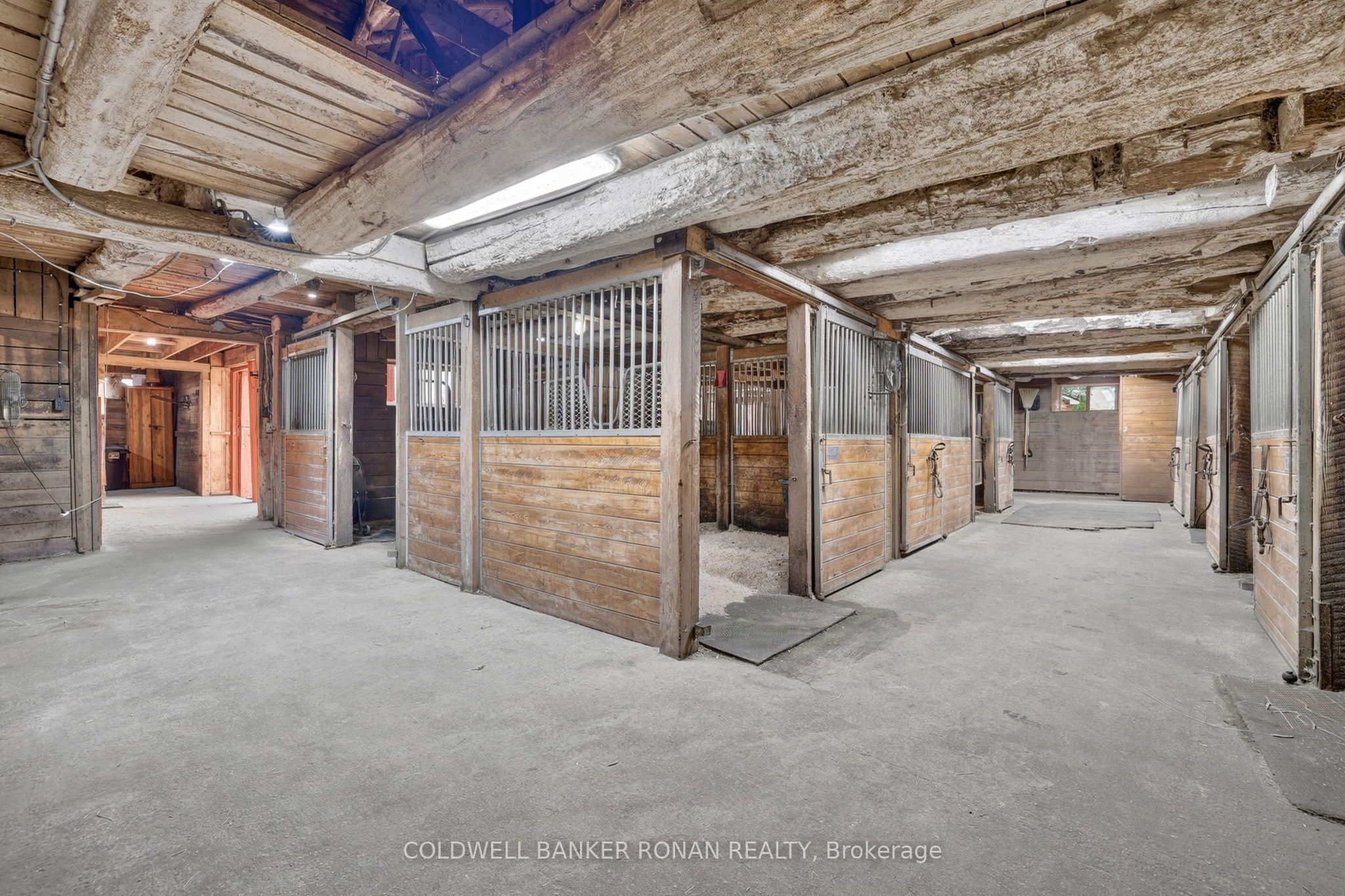 20855 Shaws Creek Road Property Photo 32