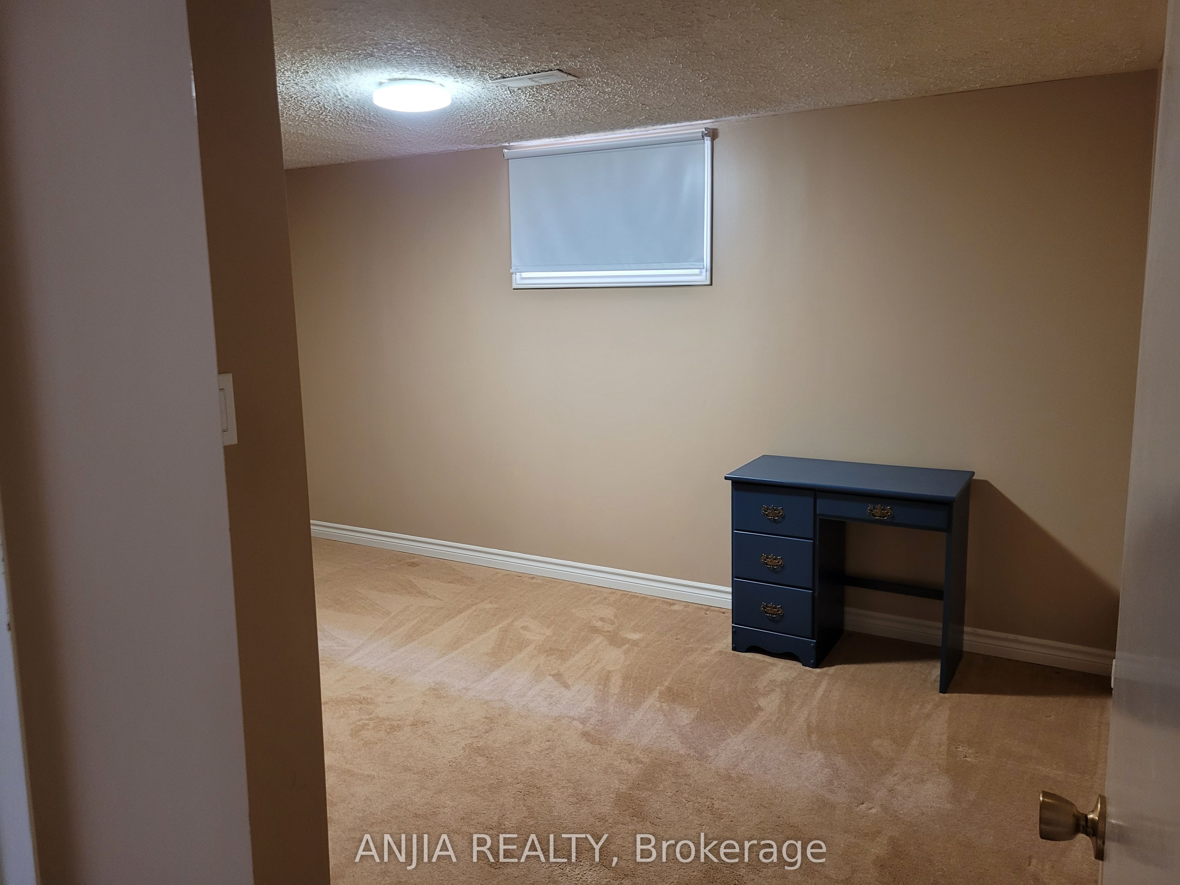 1299 Shamir Crescent Basement Property Photo 8
