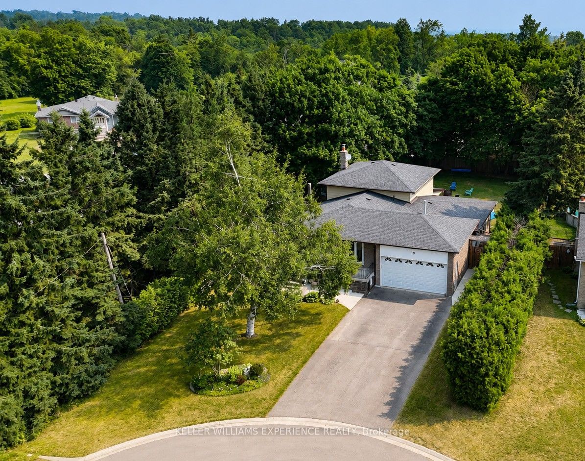 9 Palace Street Property Photo 1