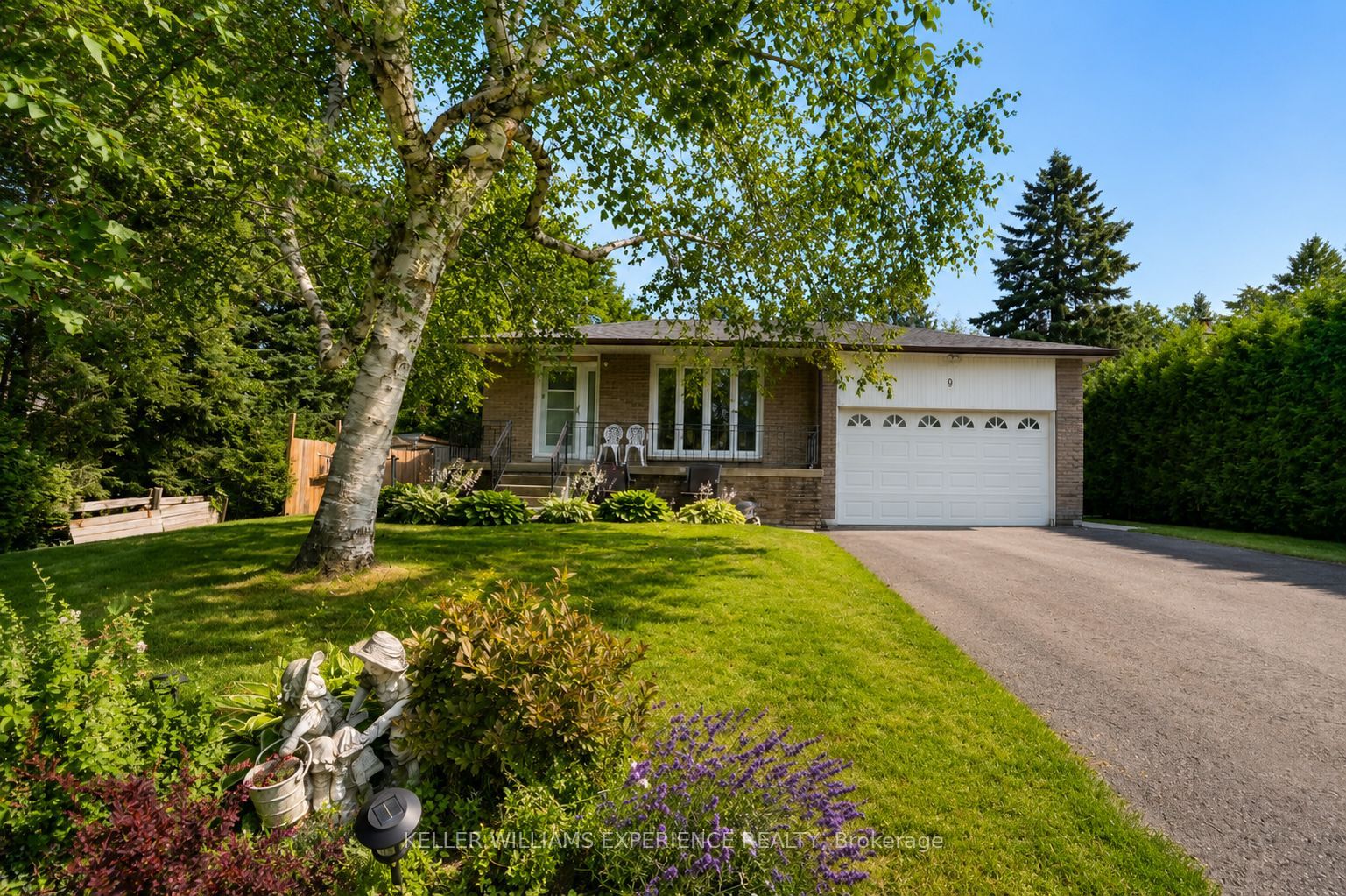 9 Palace Street Property Photo 2