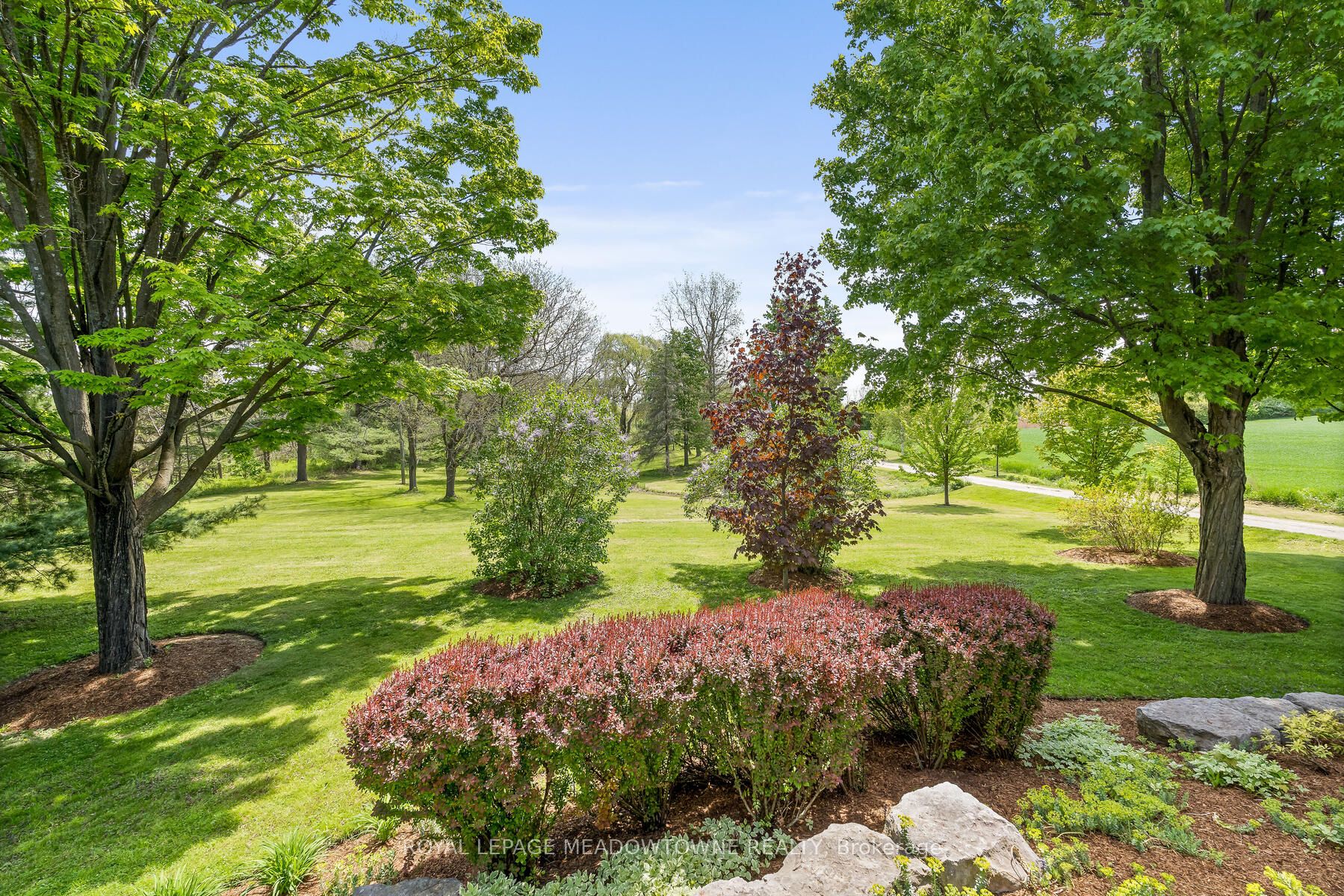 10319 15 Side Road Property Photo 38