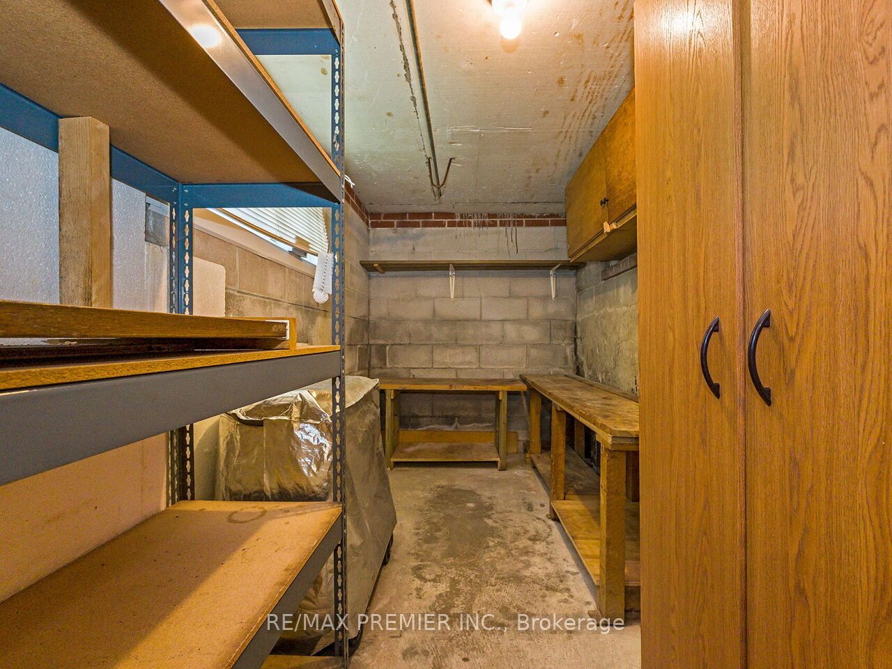 7 Mayall Avenue Property Photo 35