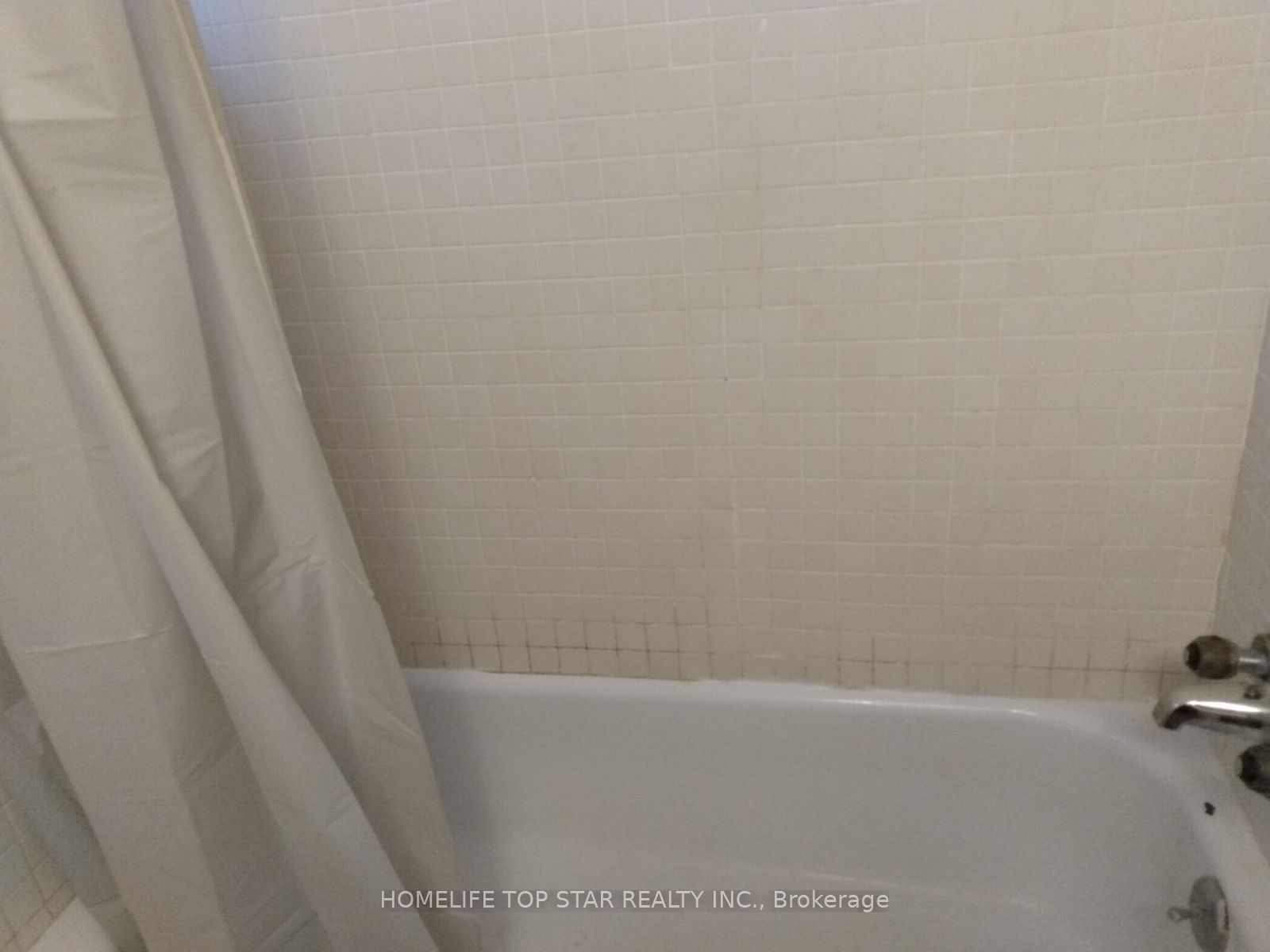 37 Macdonald Avenue Property Photo 10