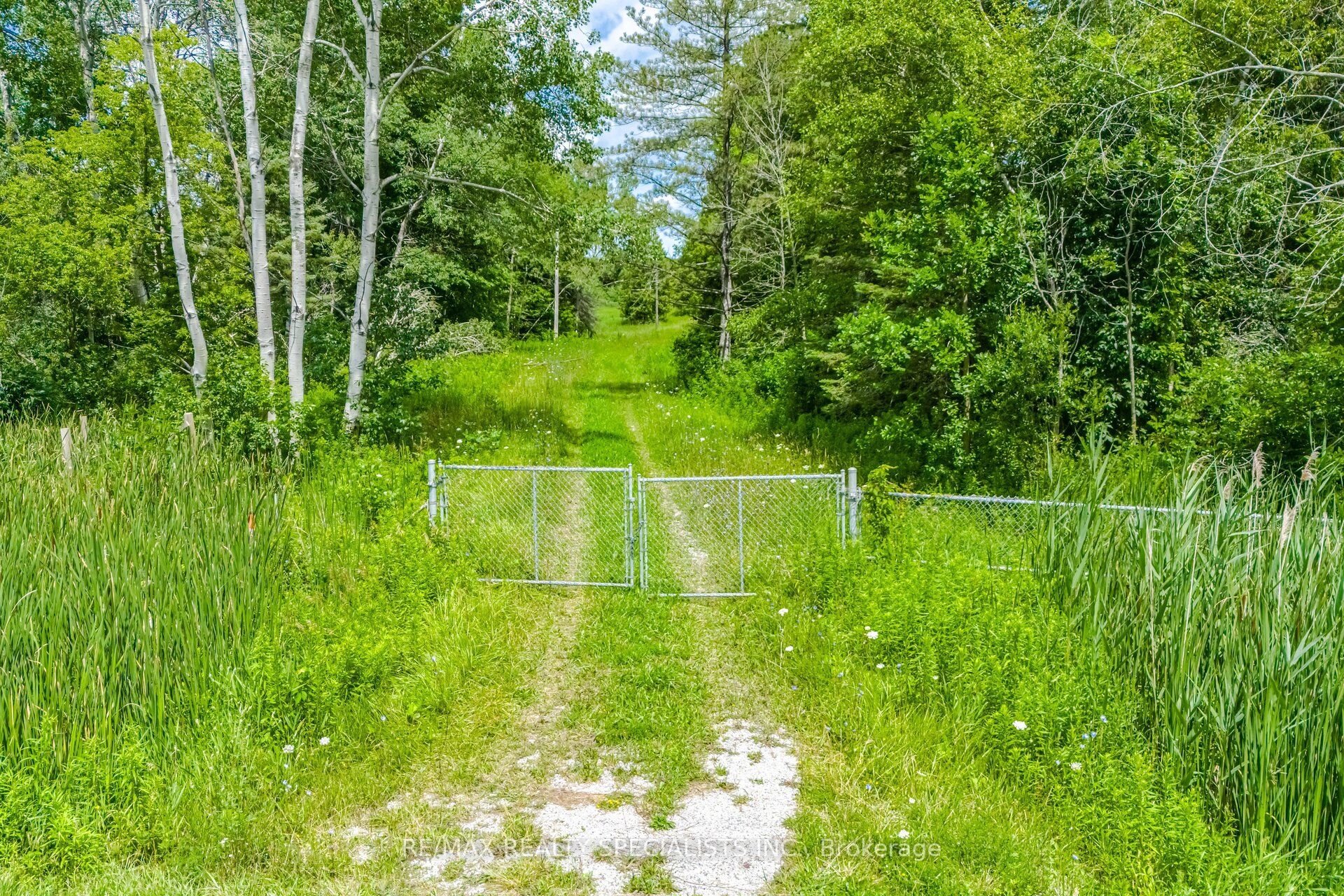 15441 Mount Pleasant Road Property Photo 16