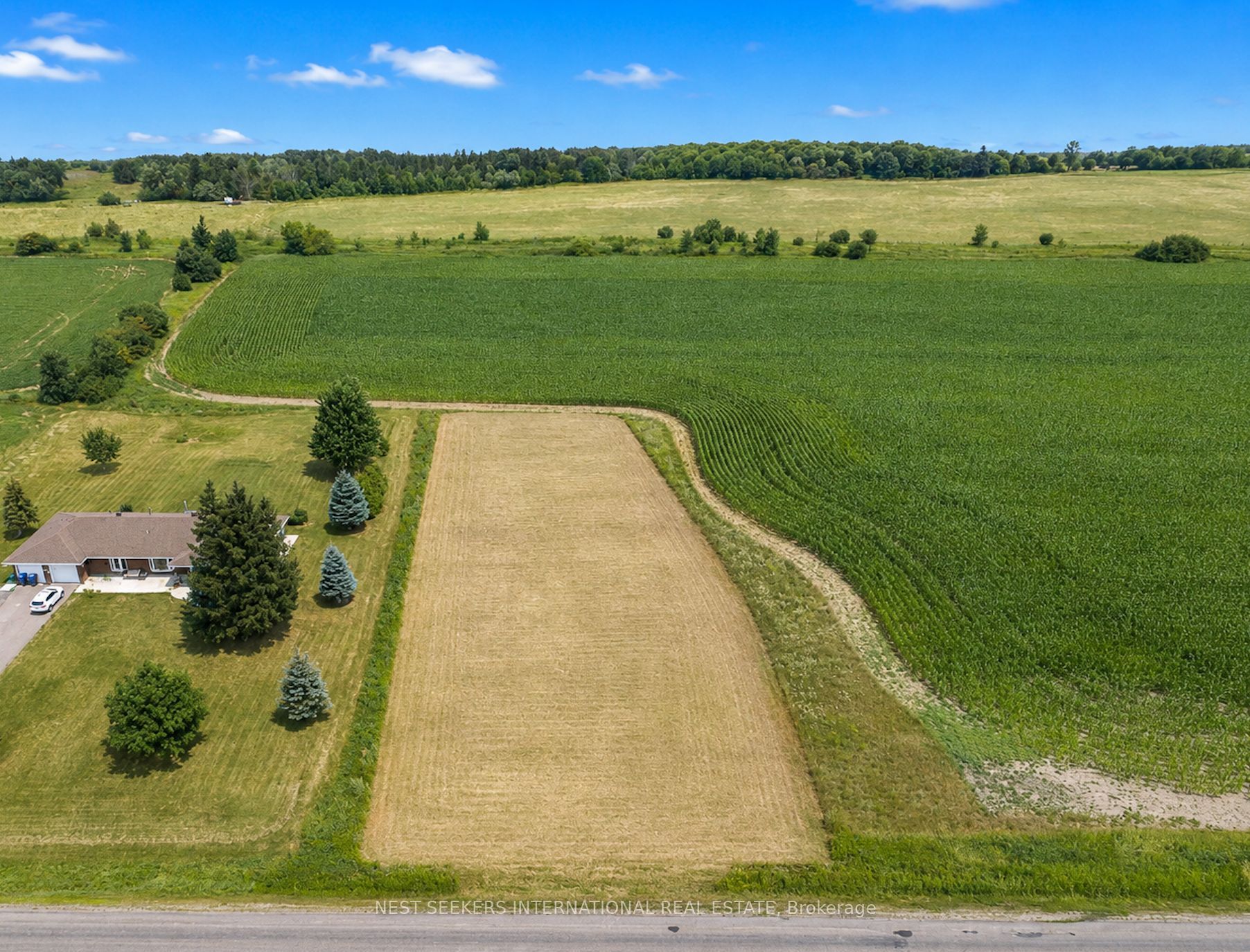 13185 McLaughlin Road