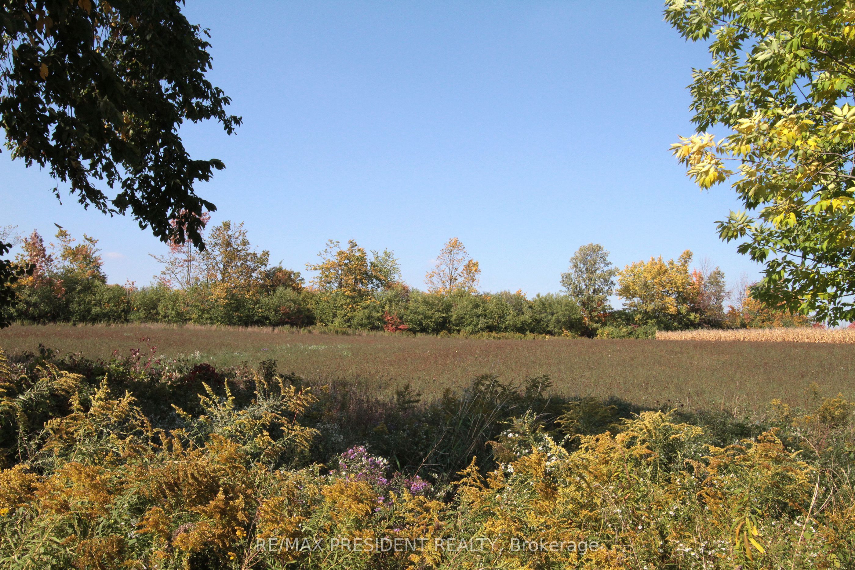 7190 King Street Property Photo 23