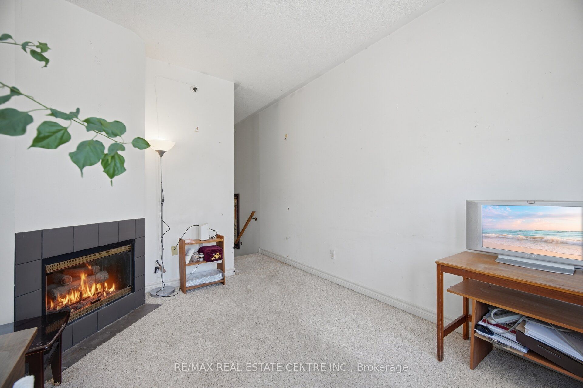 3 Hartnell Square 2 Property Photo 18