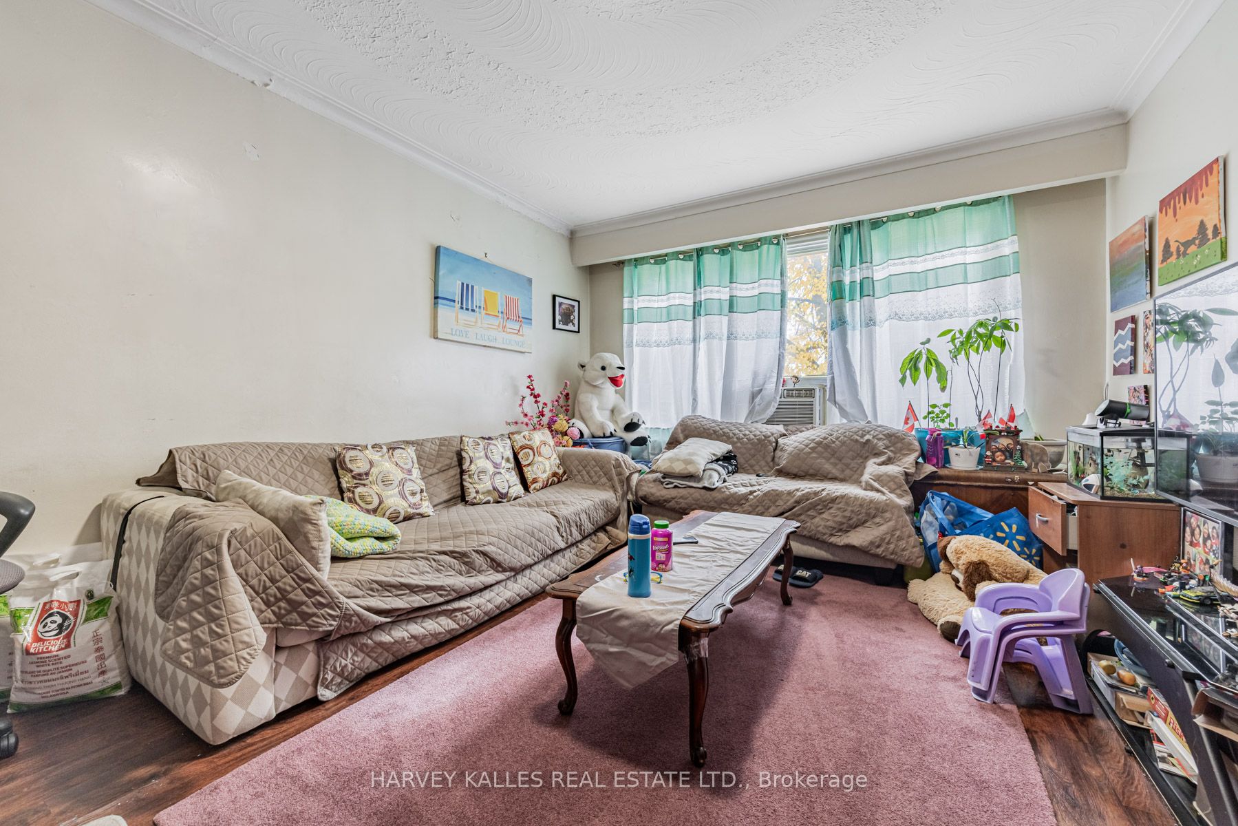6 Carrington Avenue Property Photo 9