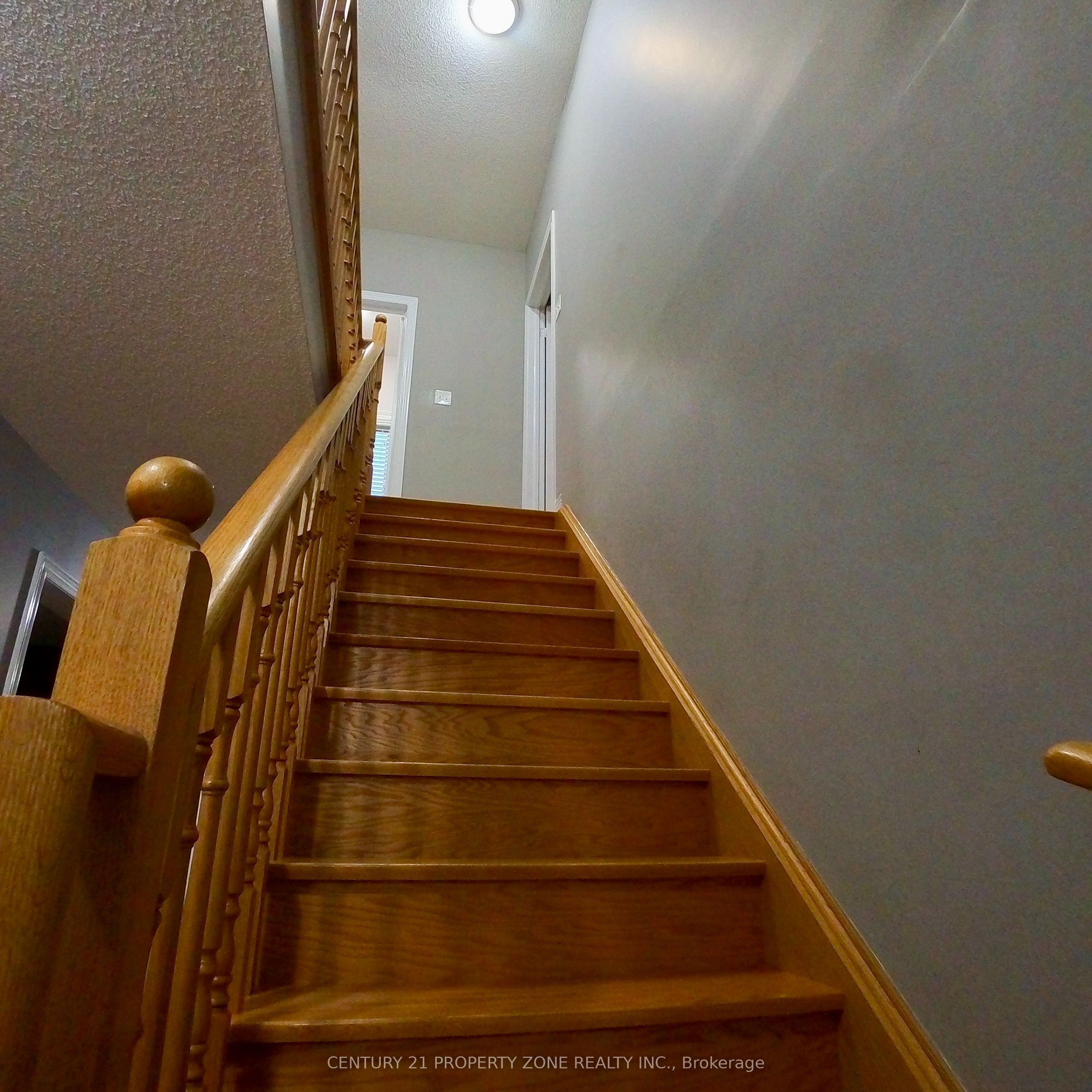5 Bryony Road Property Photo 22