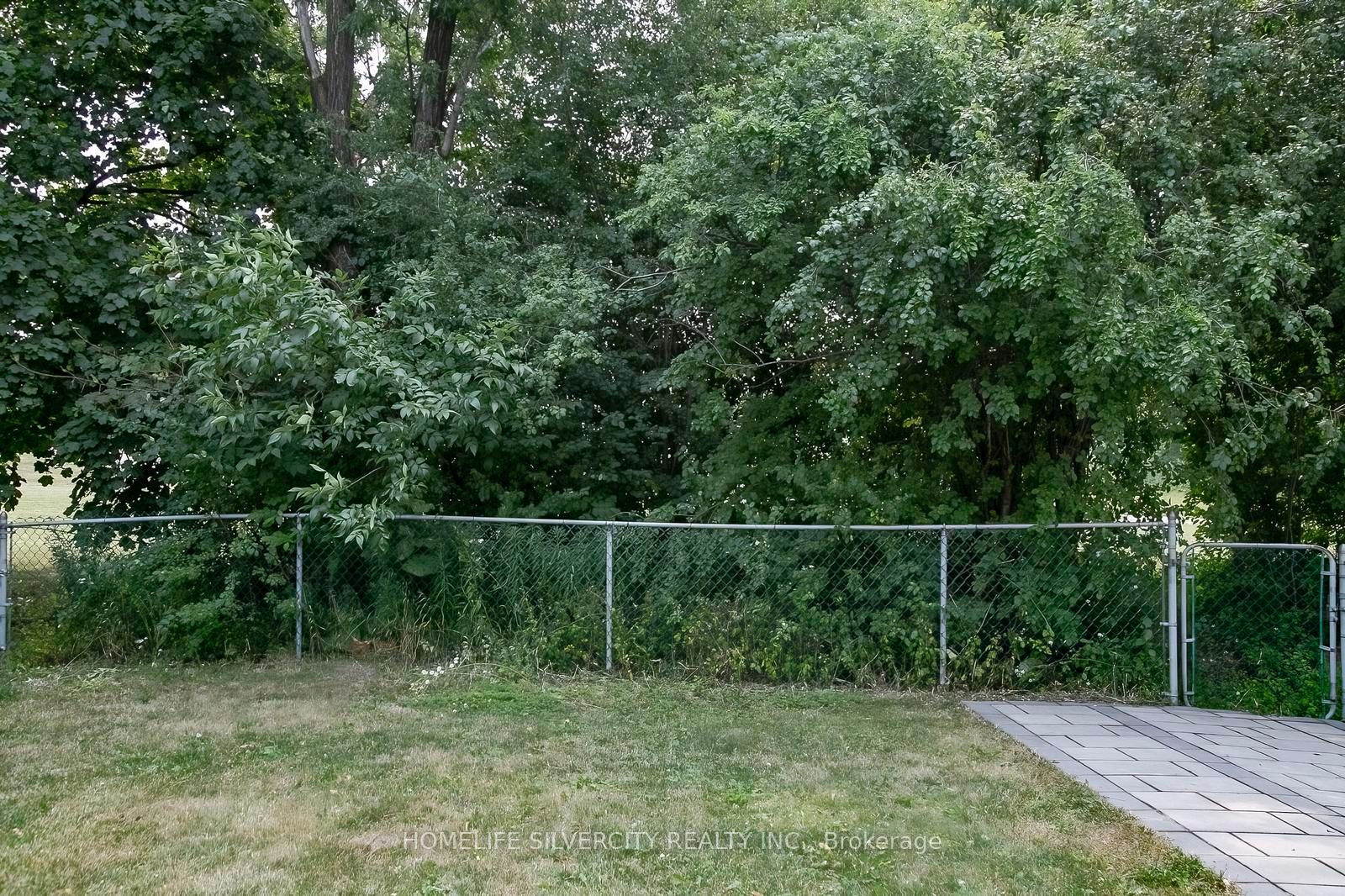 21 Mitchell Avenue Property Photo 50