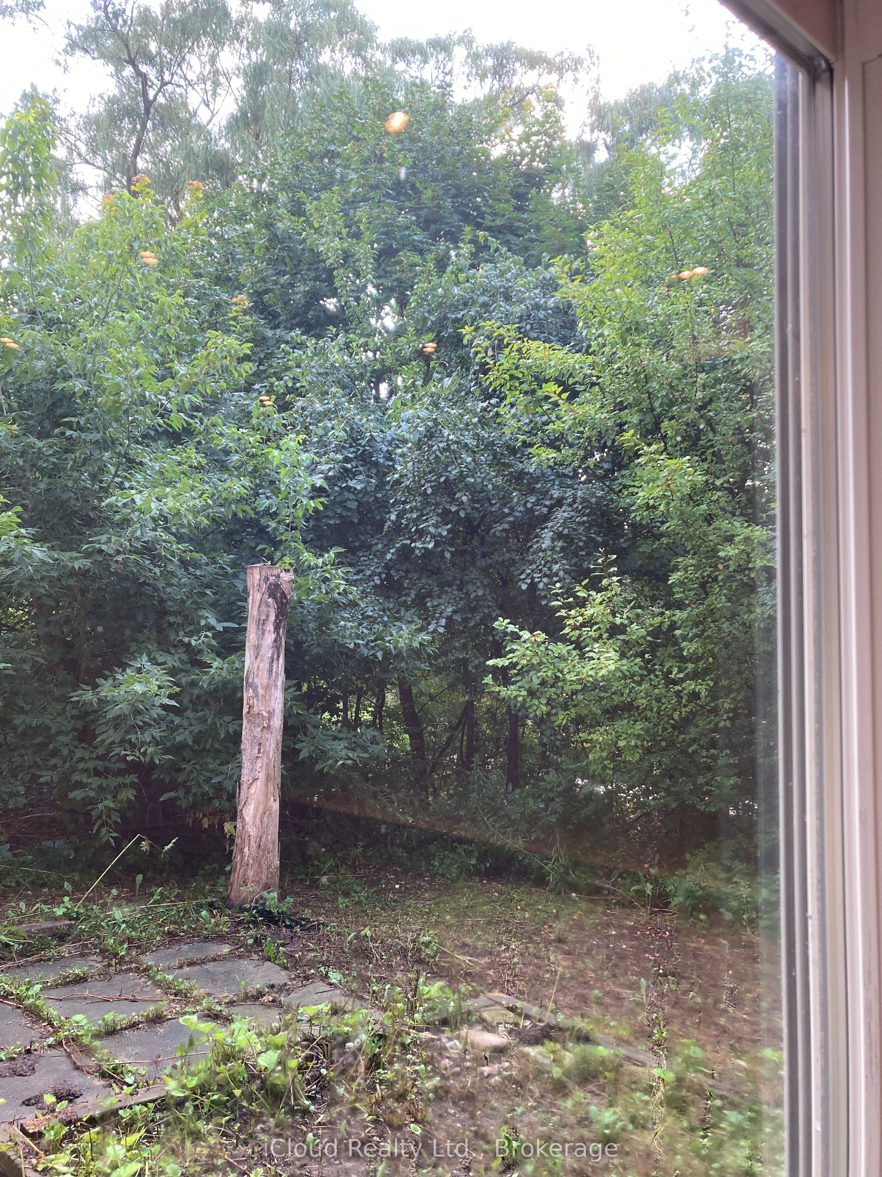 1449 Ithaca Court Property Photo 15