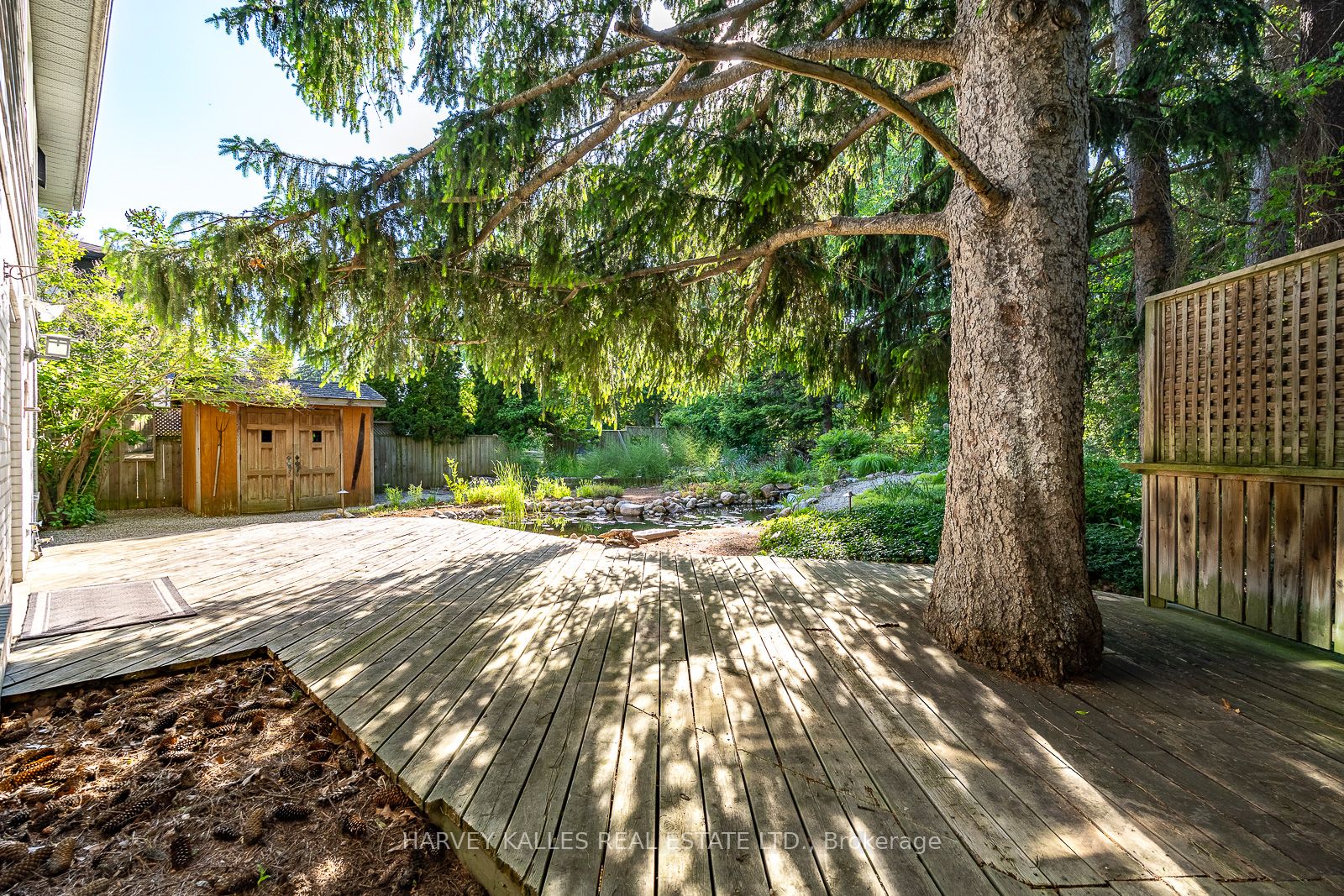 1033 Fair Birch Drive Property Photo 6