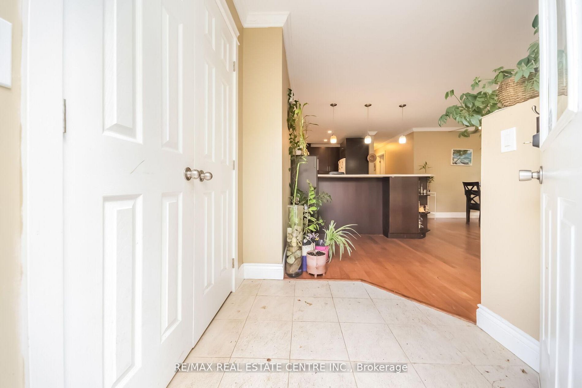 126 Culham Street Property Photo 6