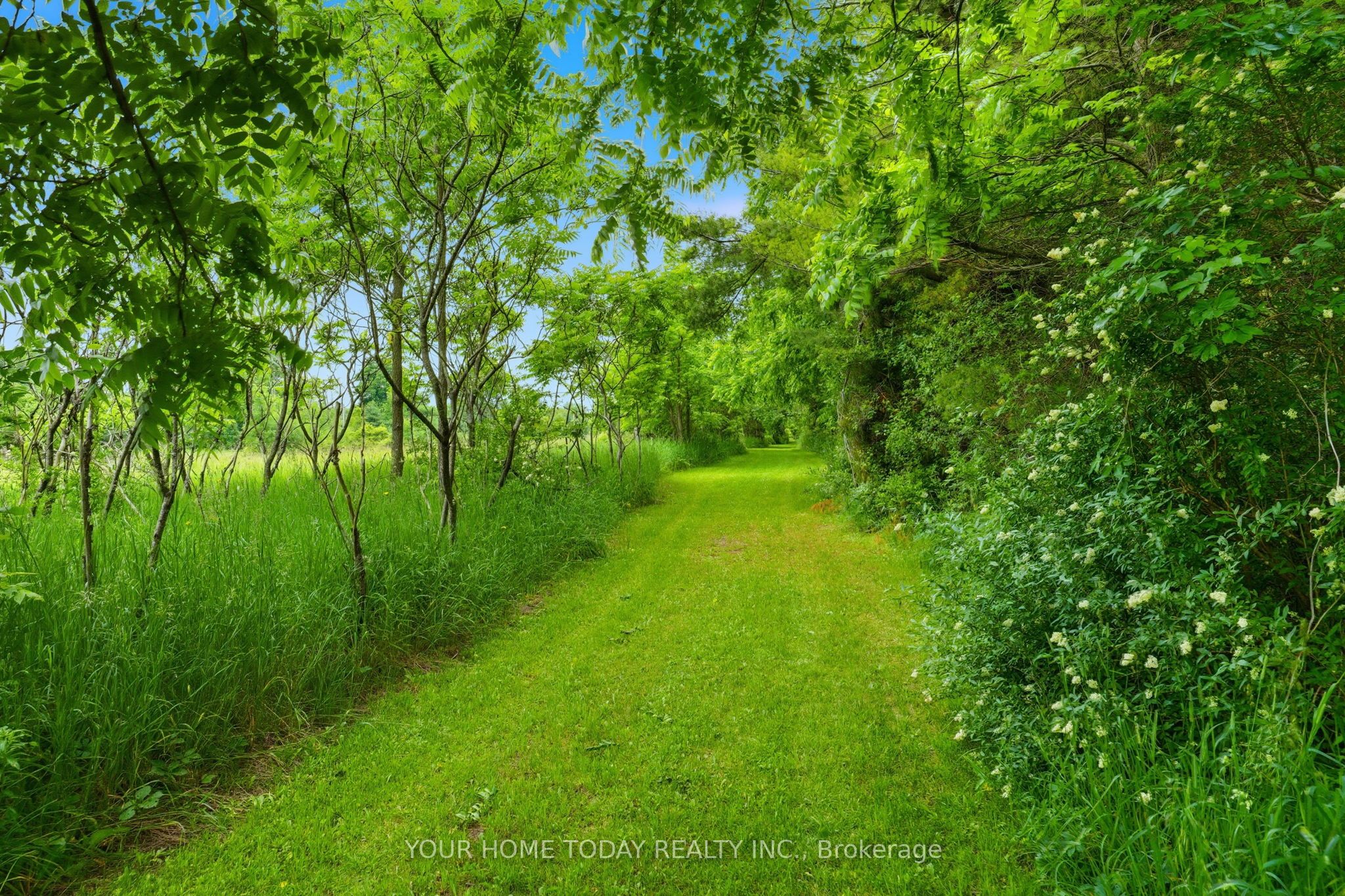 12492 Highway 7 Highway Property Photo 48
