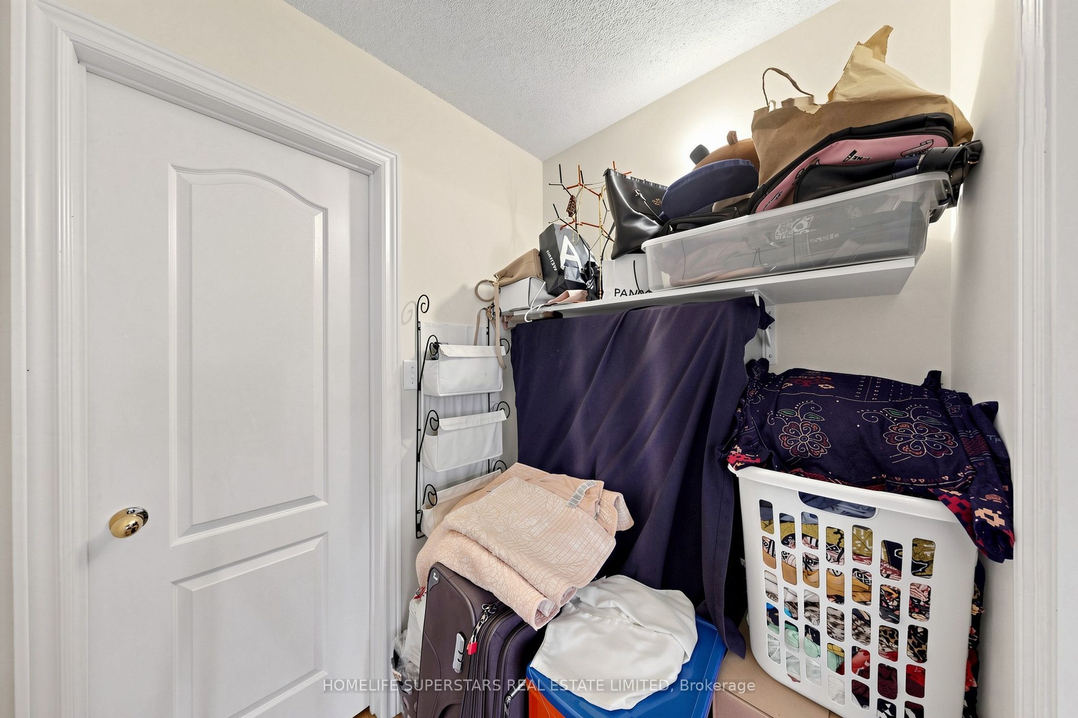5 Savita Road Property Photo 28