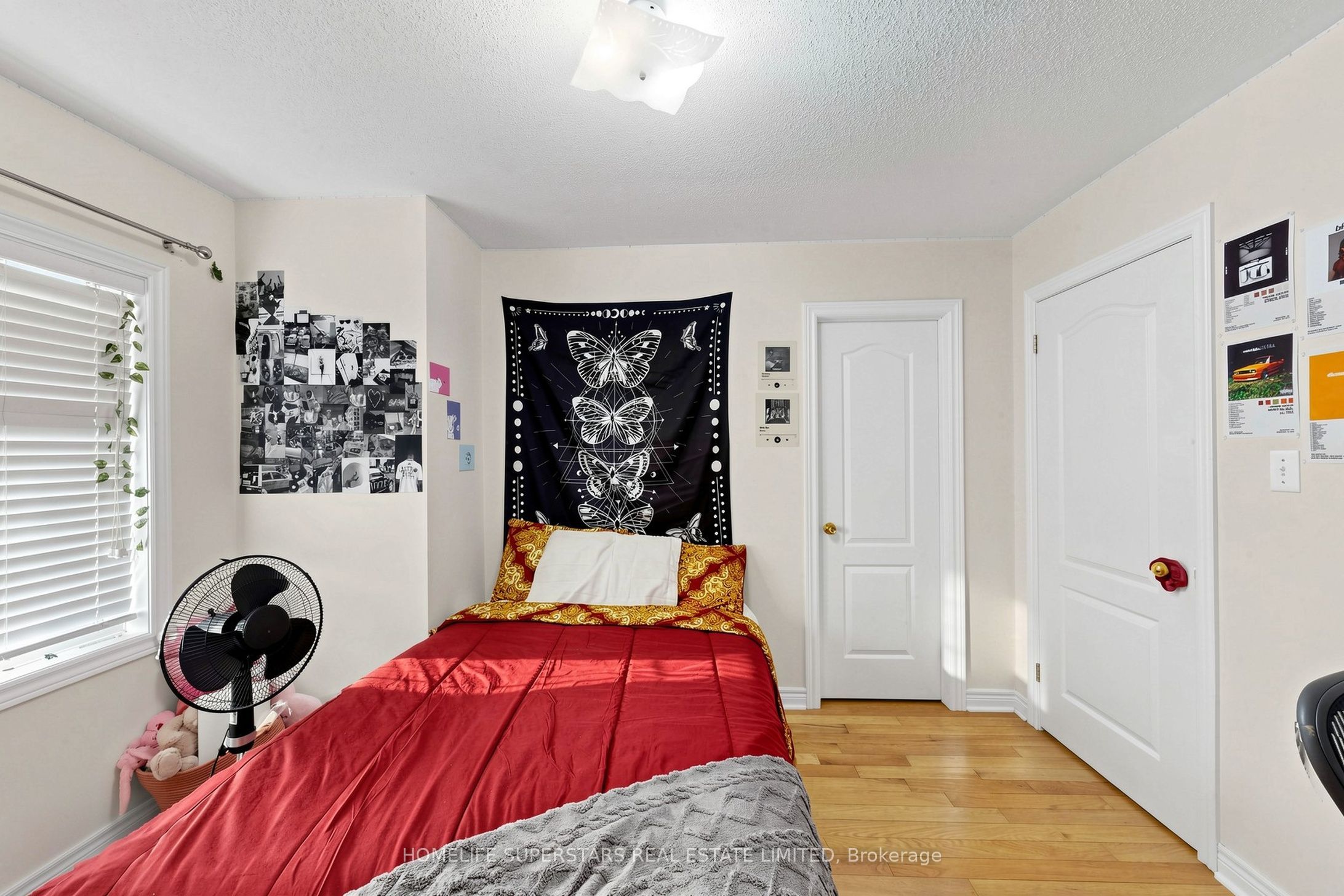 5 Savita Road Property Photo 39
