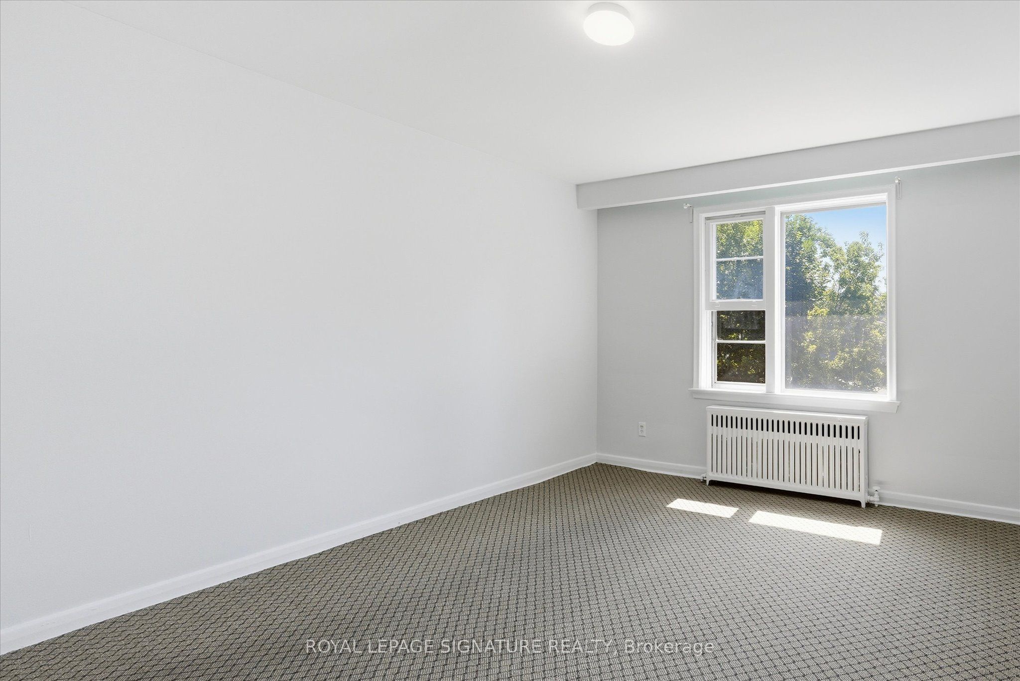 46 Albert Avenue 5 Property Photo 14