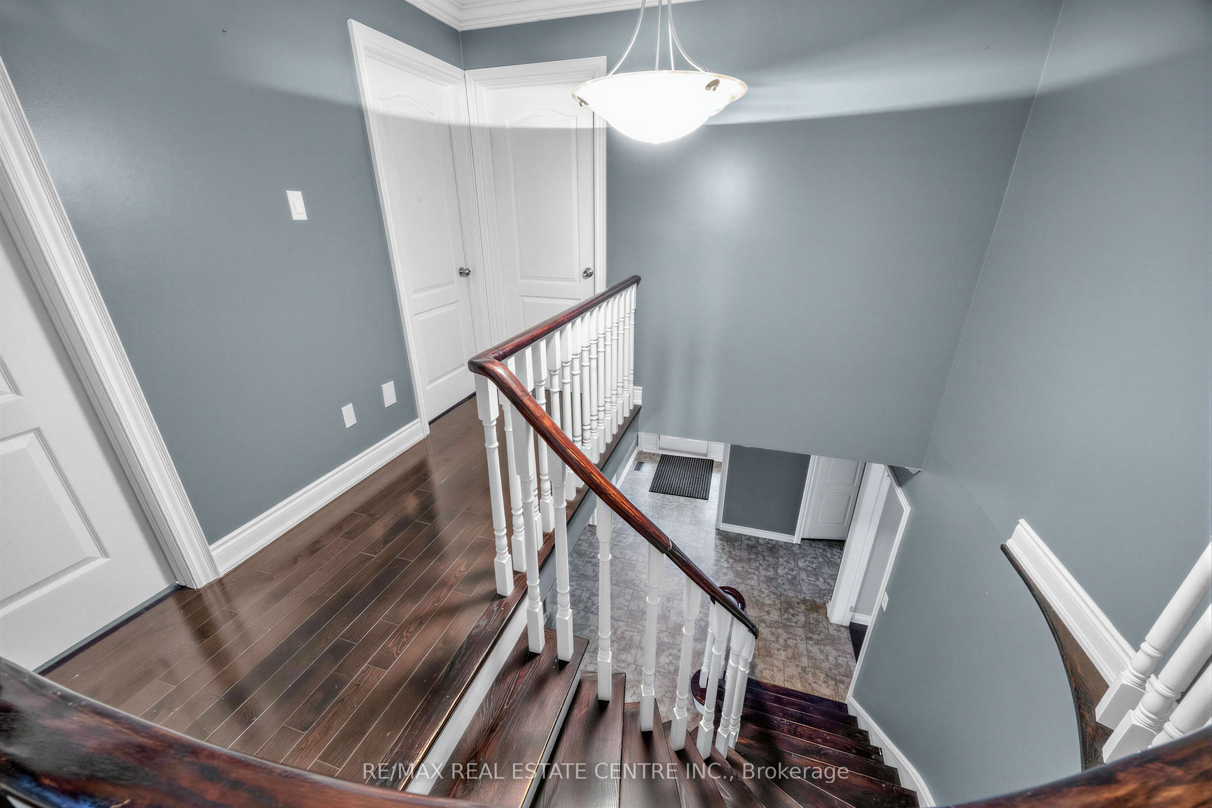 10 Diane Court Property Photo 42