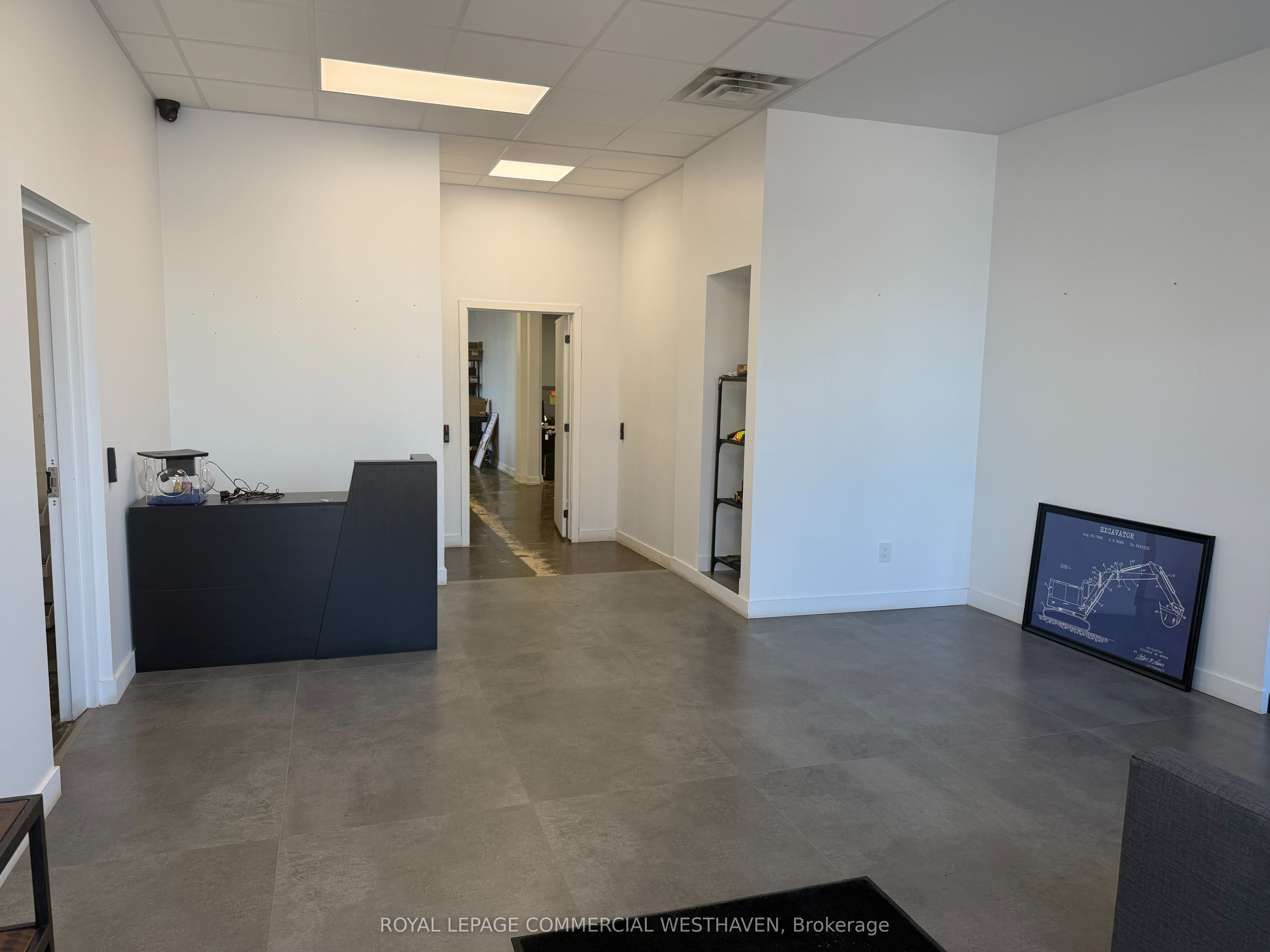 41 Densley Avenue Property Photo 5
