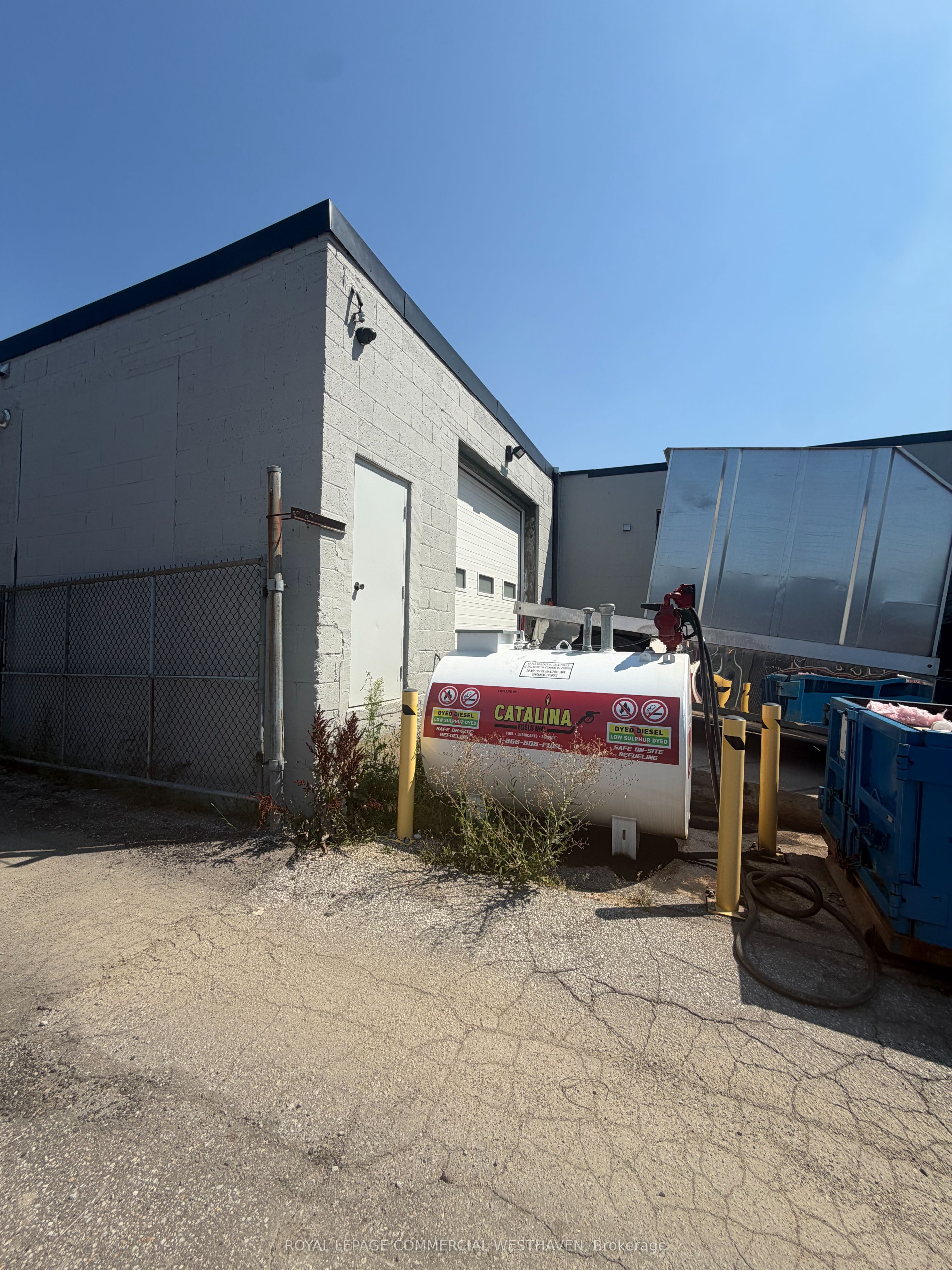 41 Densley Avenue Property Photo 19