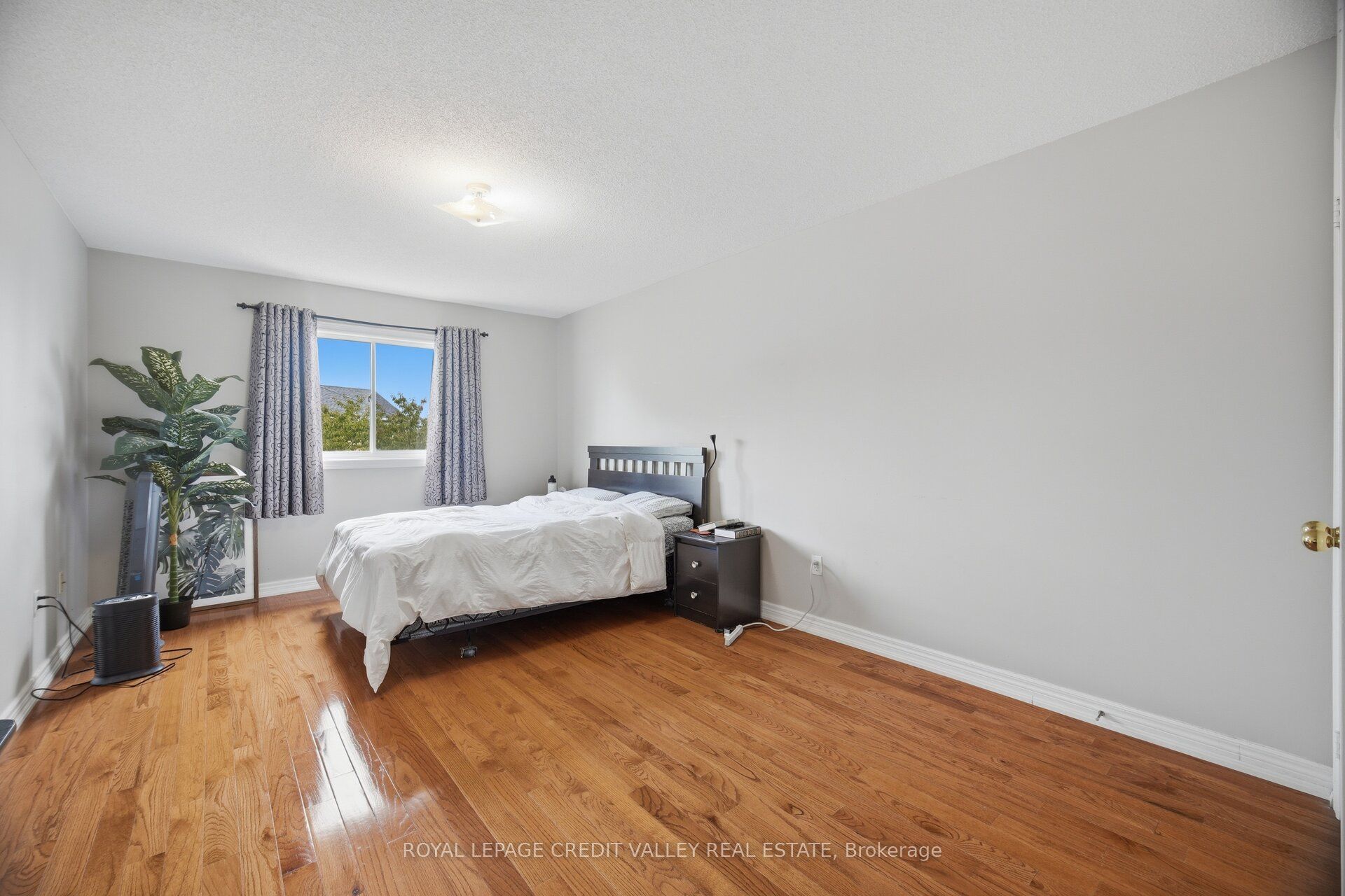 7443 Russian Olive Close Property Photo 23
