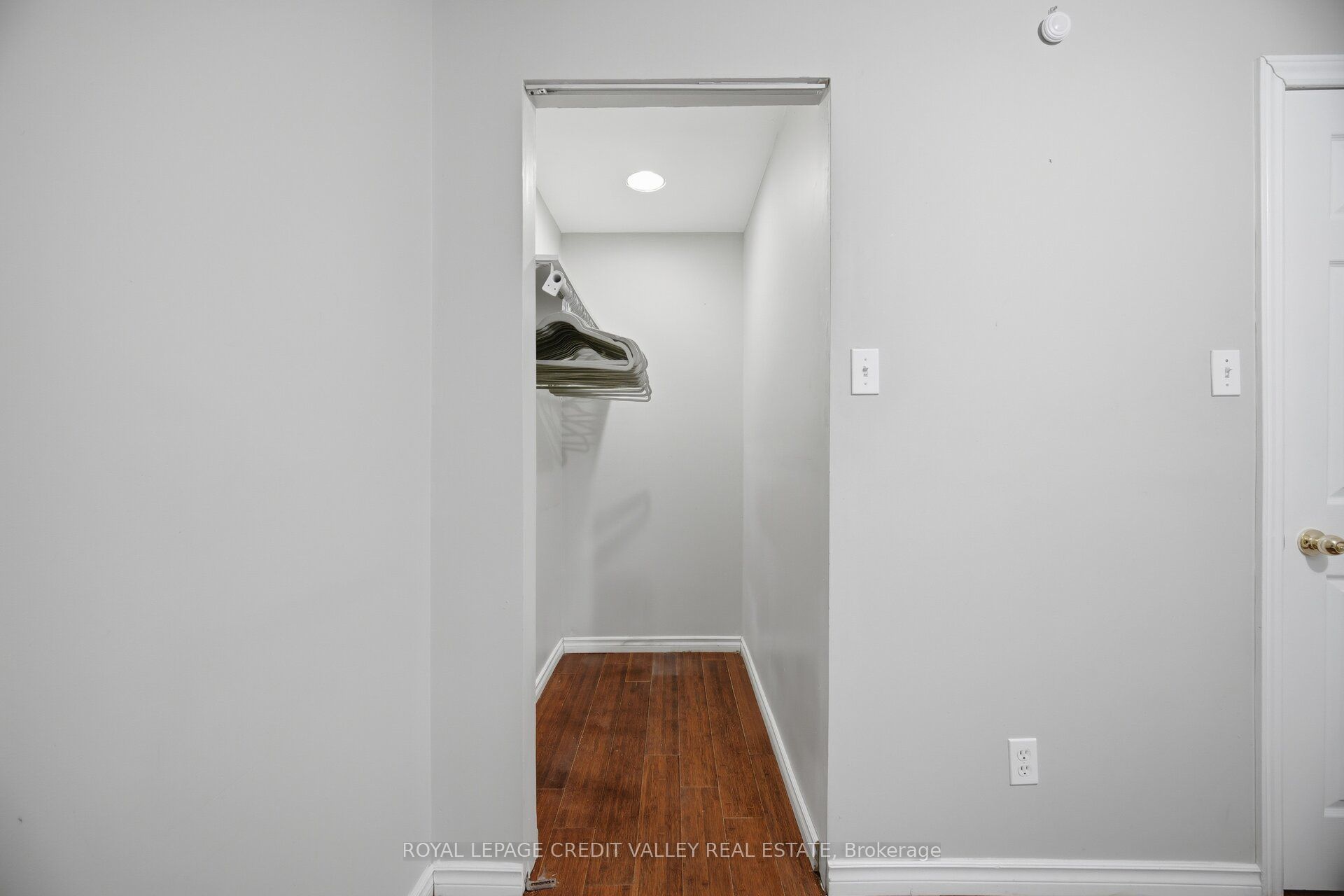 7443 Russian Olive Close Property Photo 43
